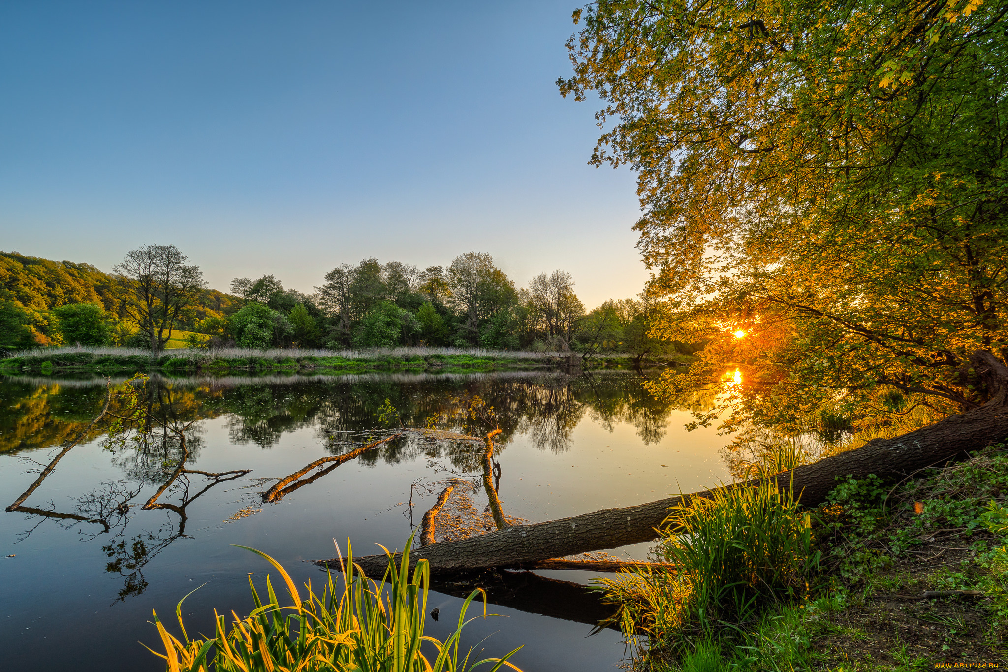 природа, реки, озера, река, лес