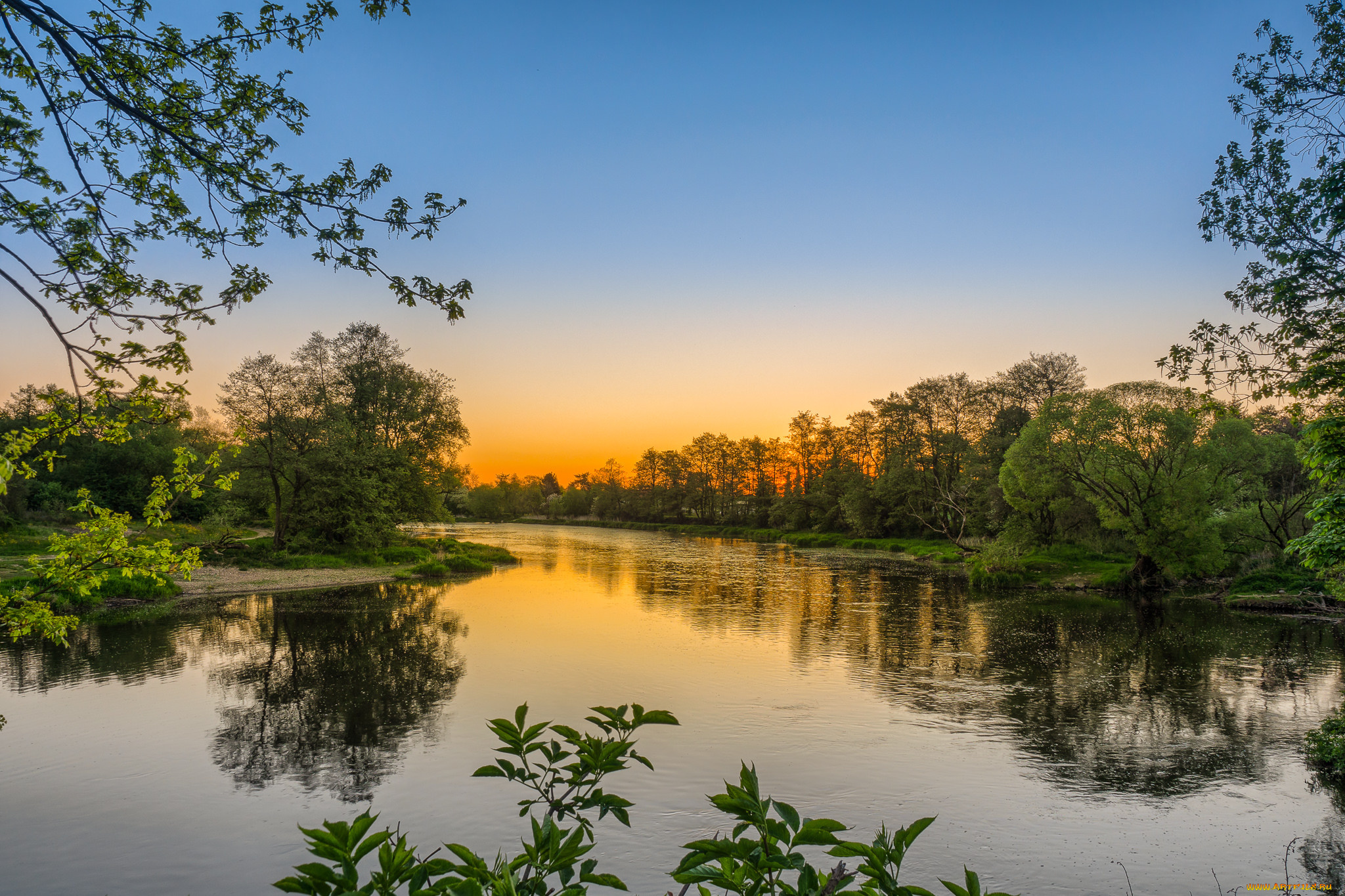 природа, реки, озера, река, лес