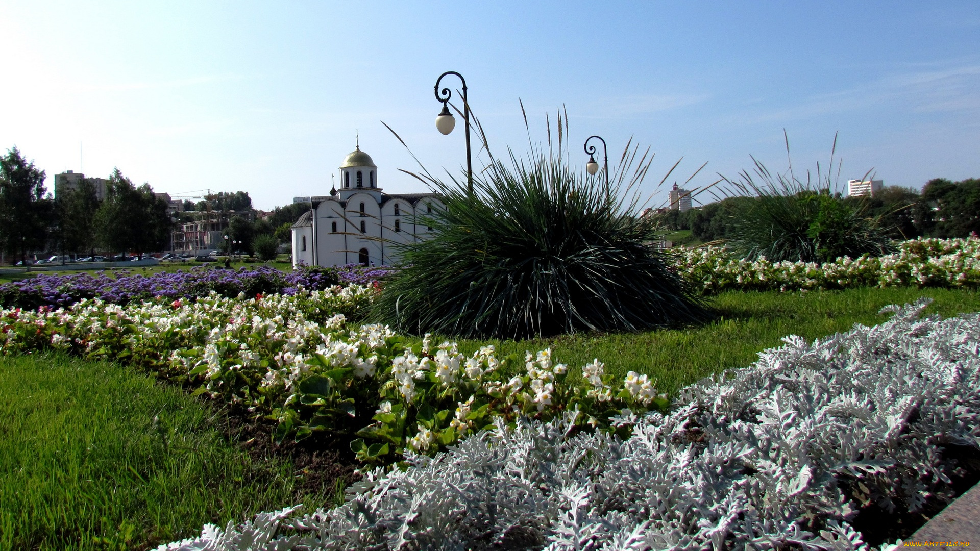 города, -, пейзажи, фонарь, цветы, беларусь, витебск