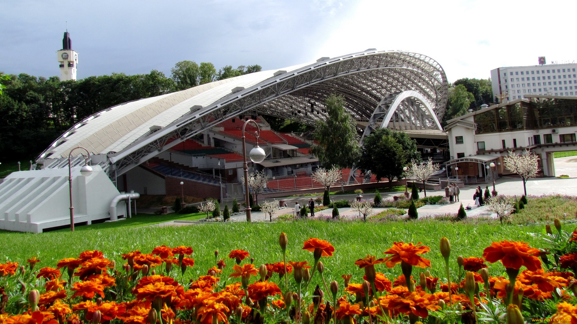 города, -, здания, , дома, базар, цветы, беларусь, витебск