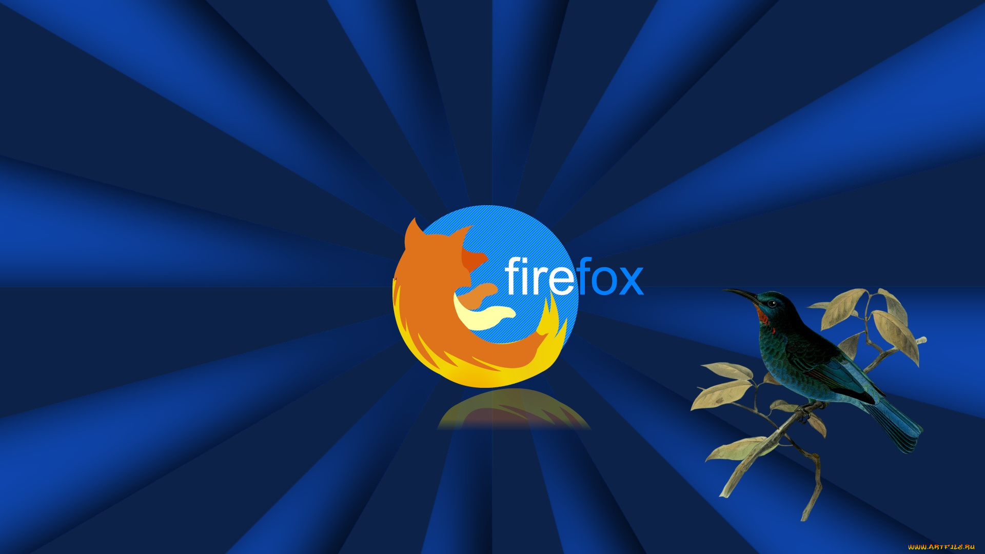 компьютеры, mozilla, firefox, фон, логотип