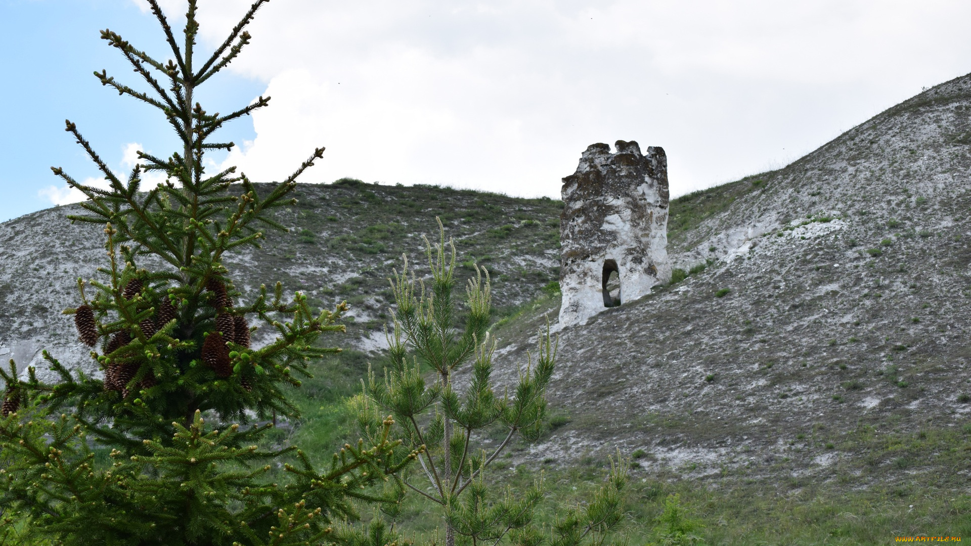 природа, пейзажи, ель, возвышенность, меловая, дива