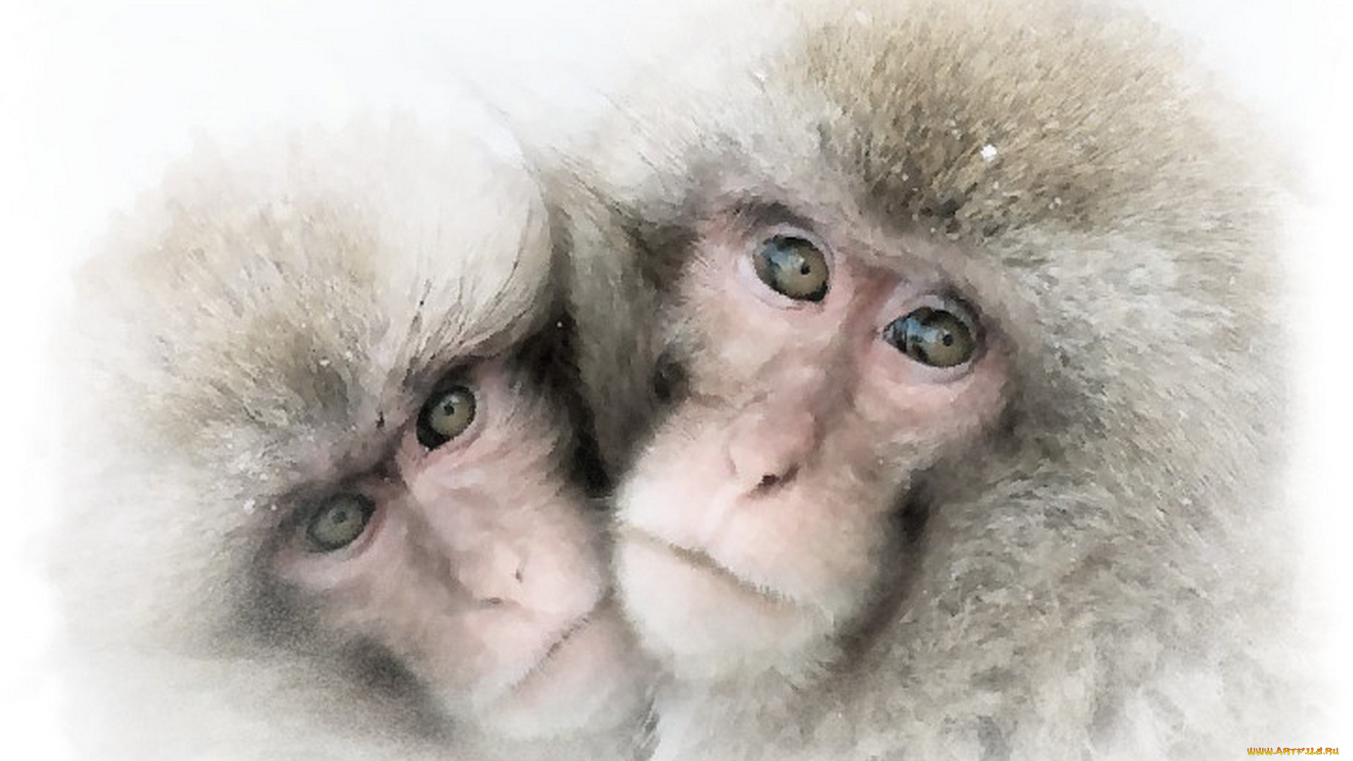 рисованное, животные, , обезьяны, акварель, обезьяна