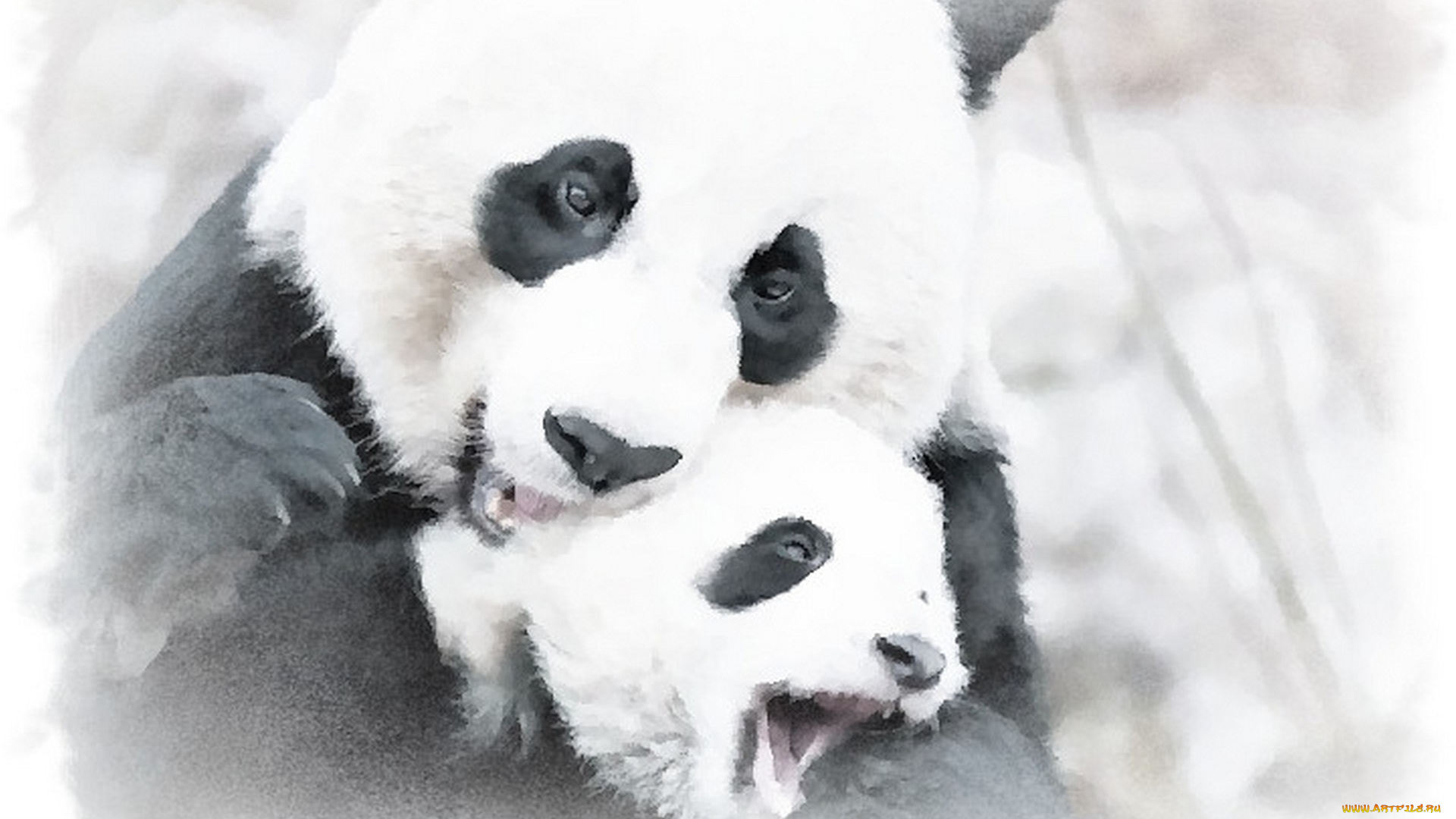 рисованное, животные, , панды, панда, с, детенышем, акварель