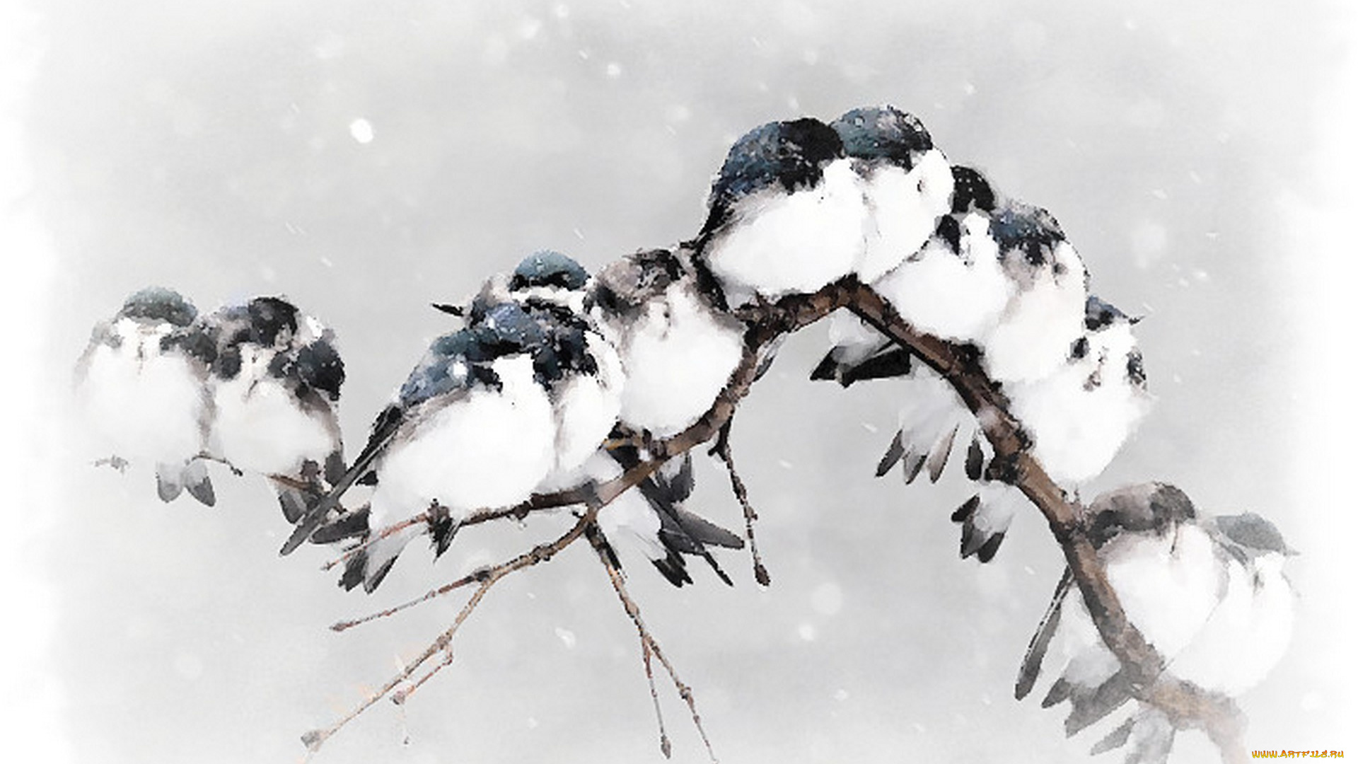 рисованное, животные, , птицы, птицы, акварель