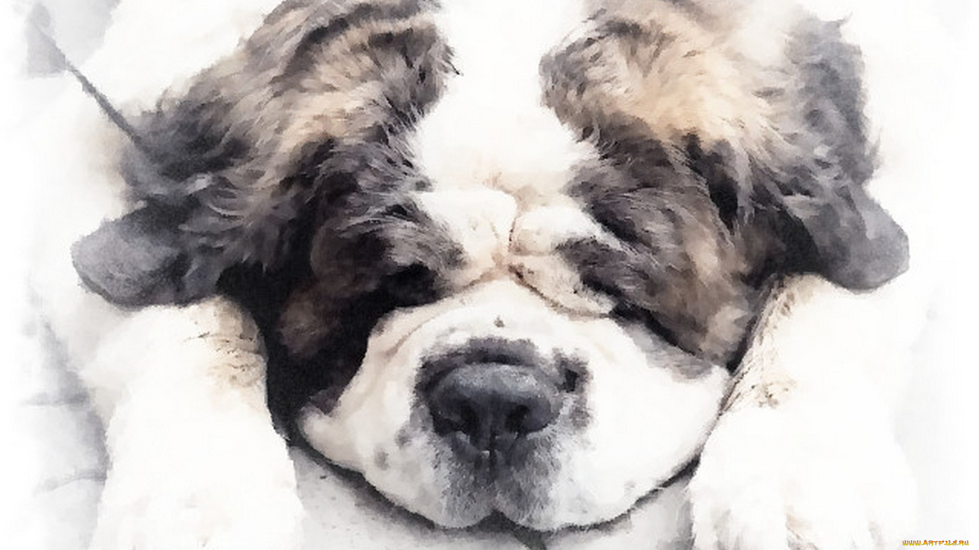 рисованное, животные, собака, рисунок, щенка, акварель, морда, собаки