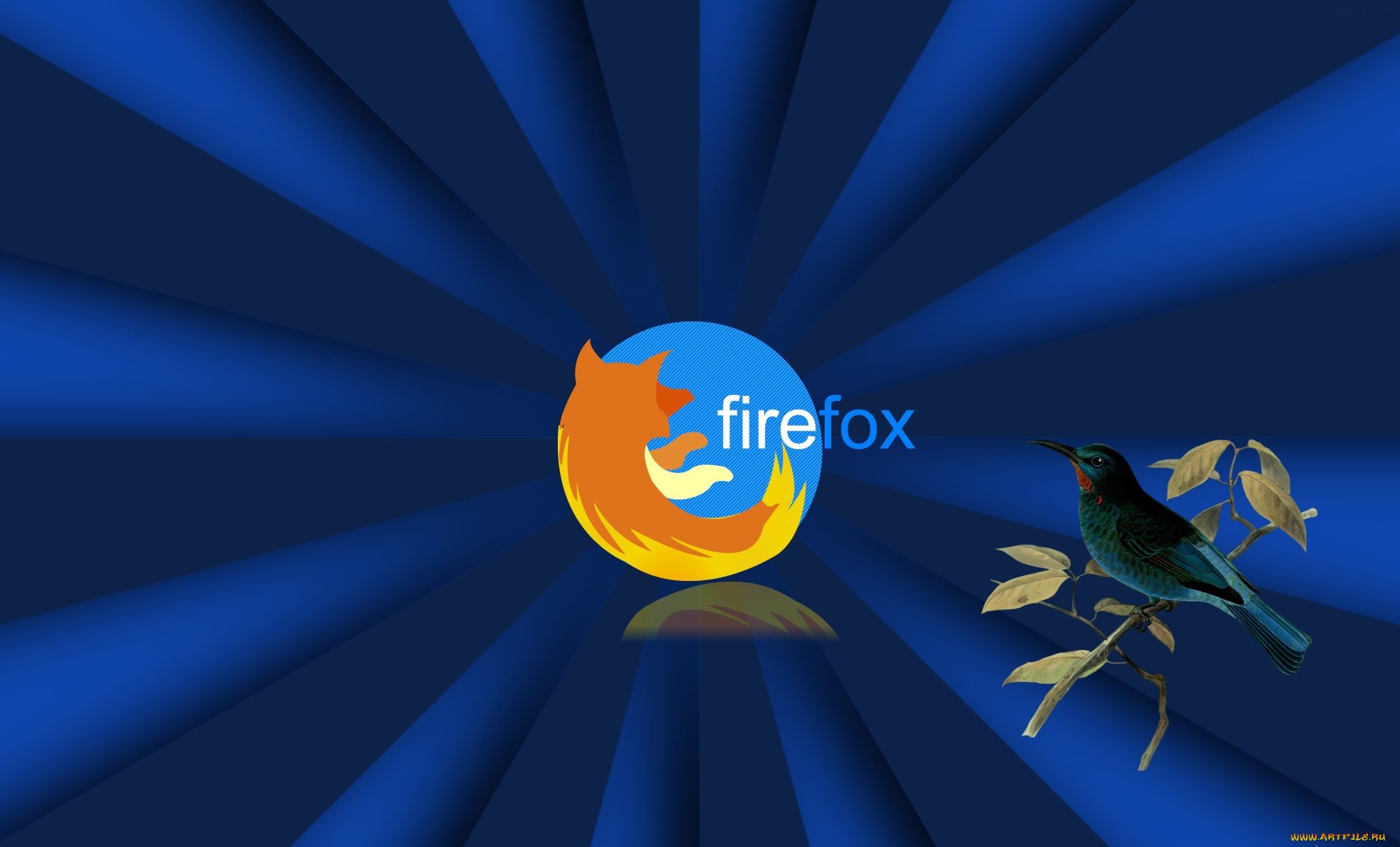 компьютеры, mozilla, firefox, фон, логотип