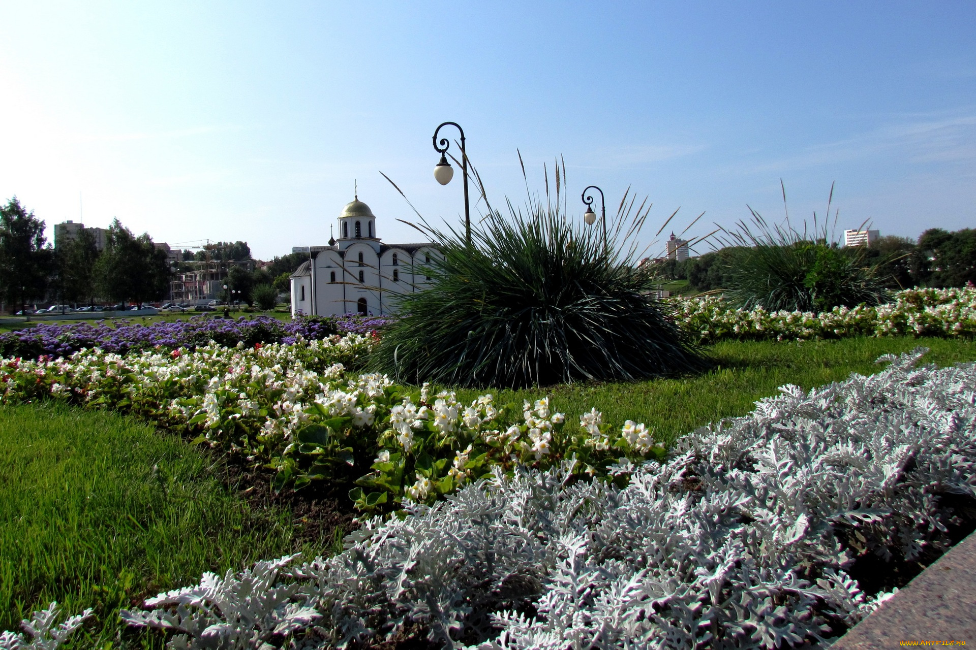 города, -, пейзажи, фонарь, цветы, беларусь, витебск