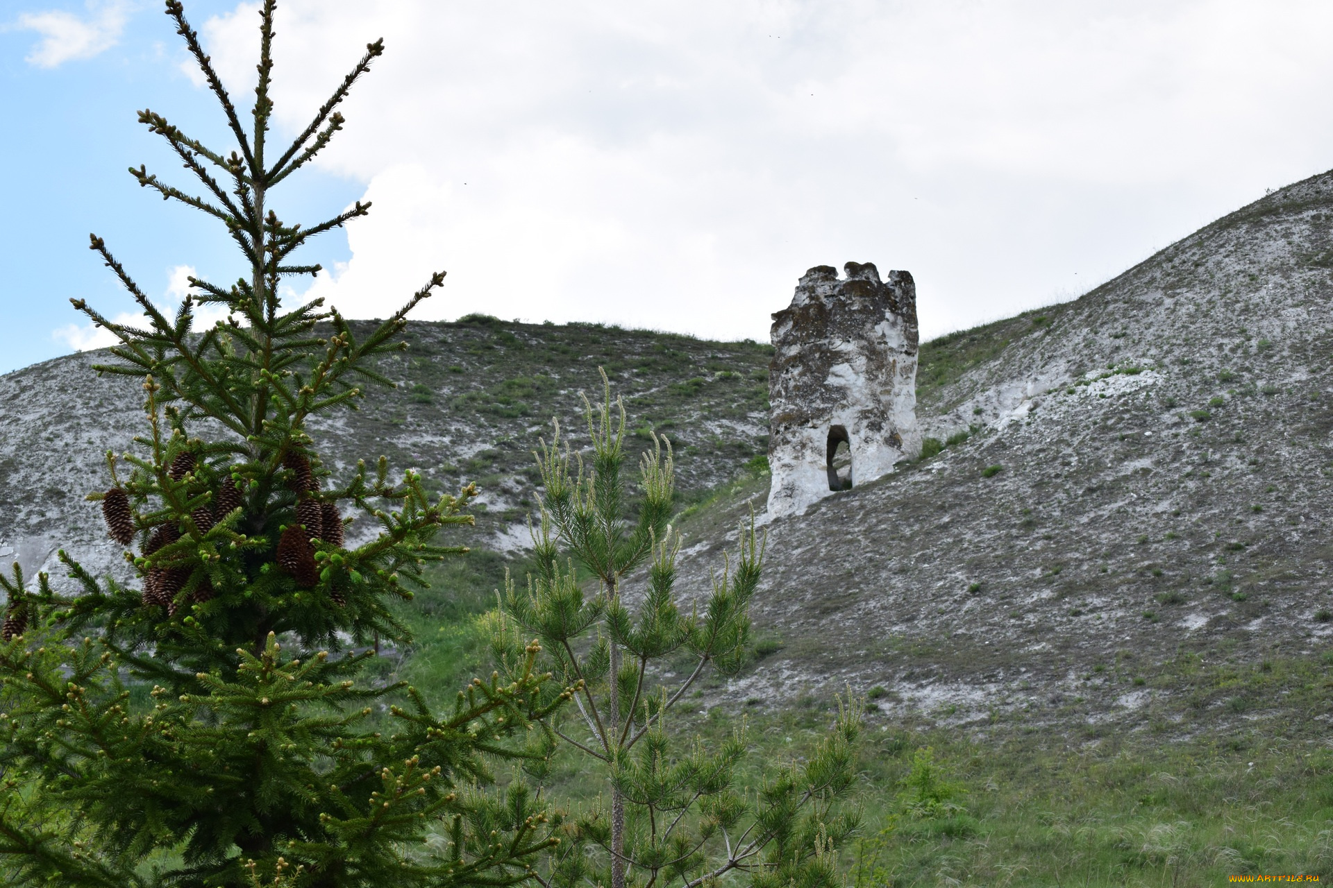 природа, пейзажи, ель, возвышенность, меловая, дива