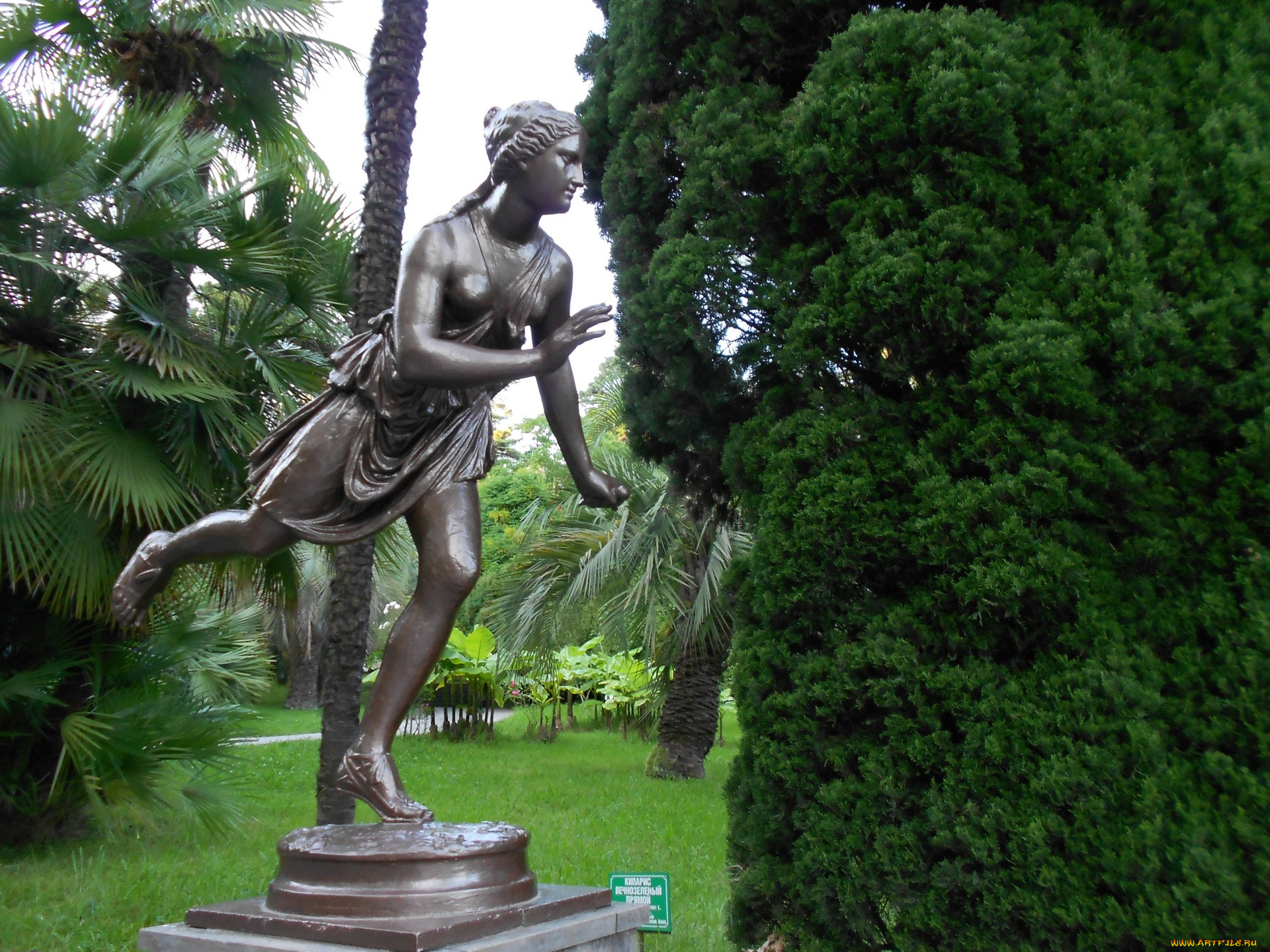 города, -, памятники, , скульптуры, , арт-объекты, скульптура, сочи, девушка, пальма