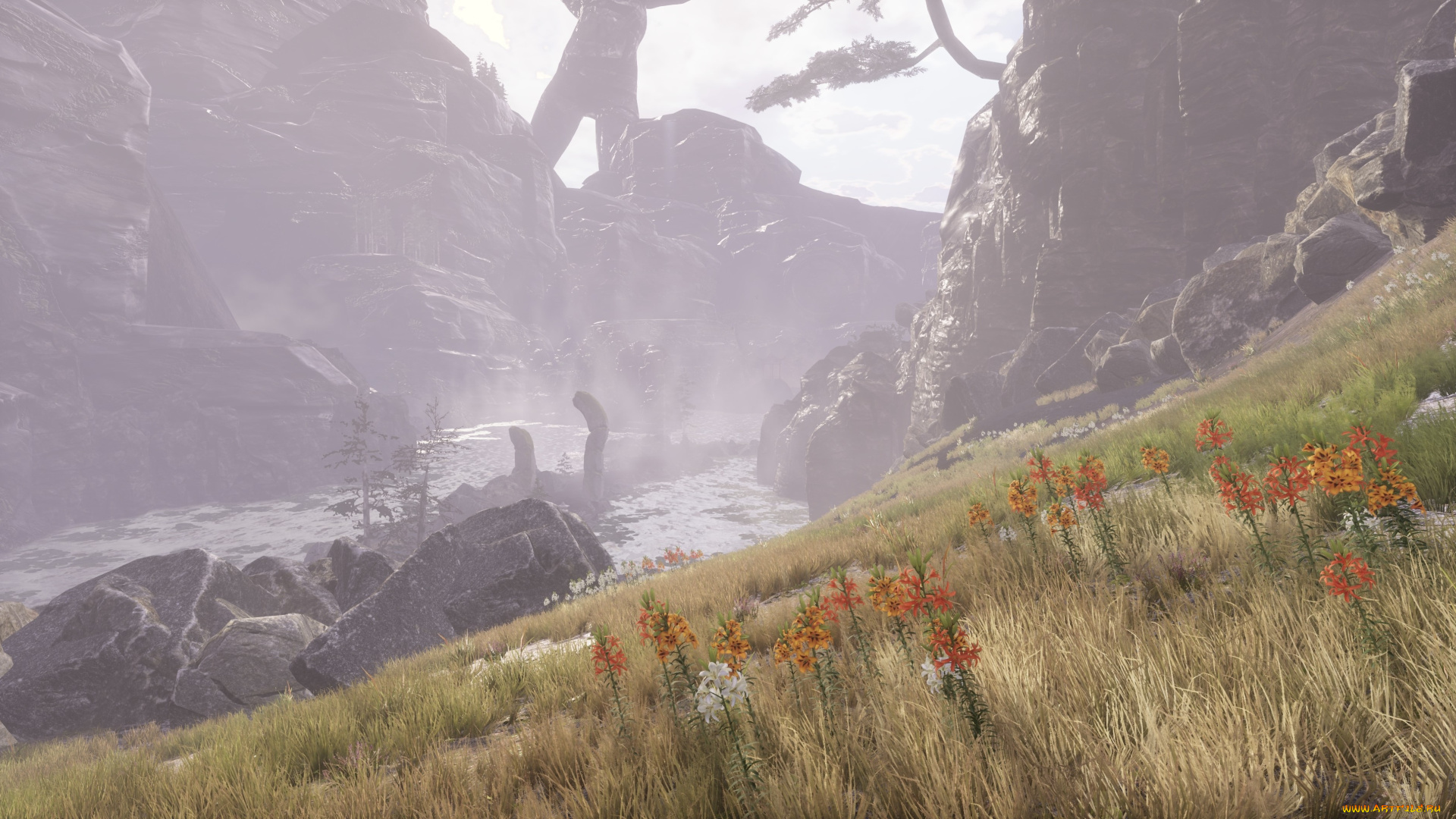 видео, игры, drizzlepath