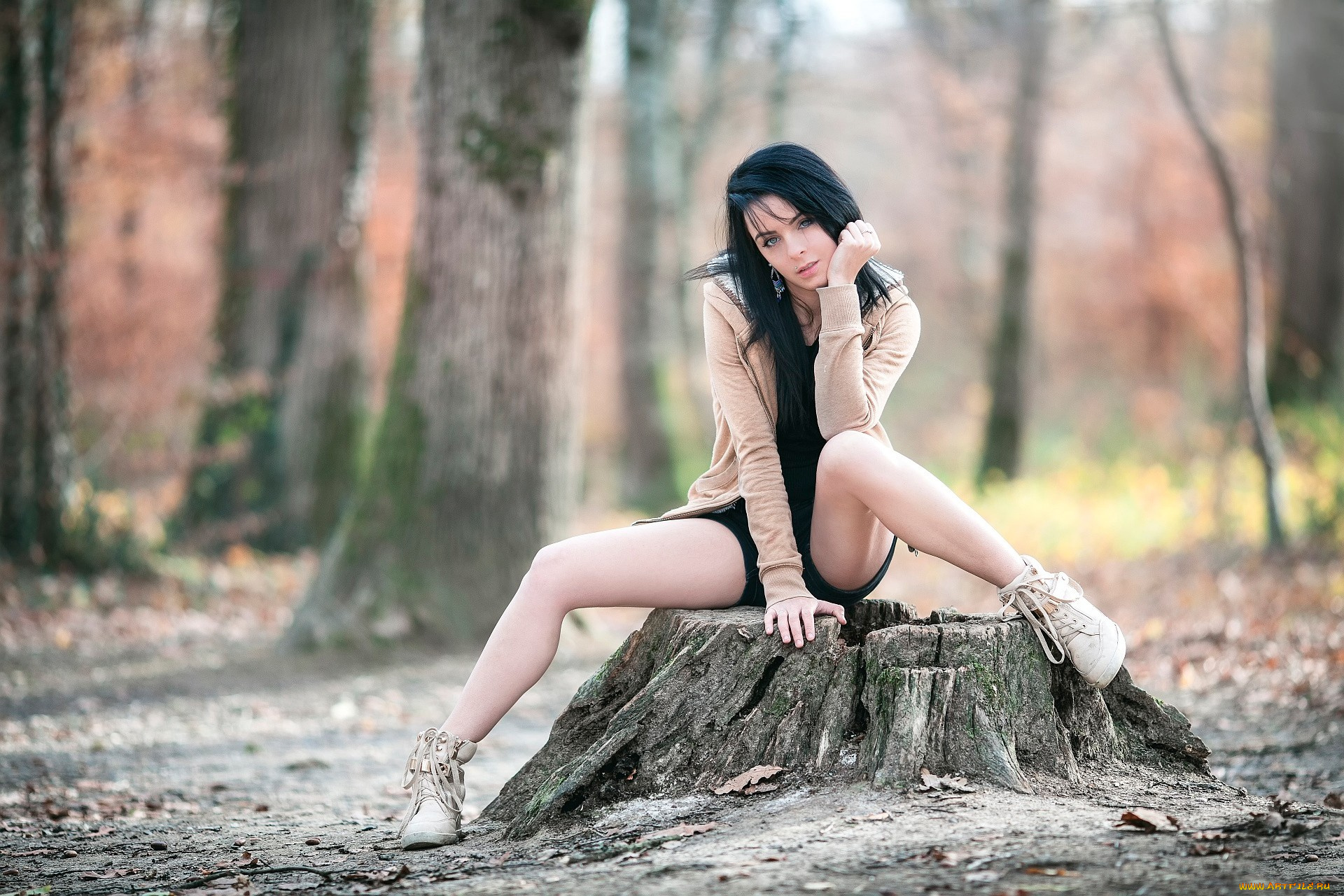 девушка, девушки, -unsort, , брюнетки, темноволосые, модель