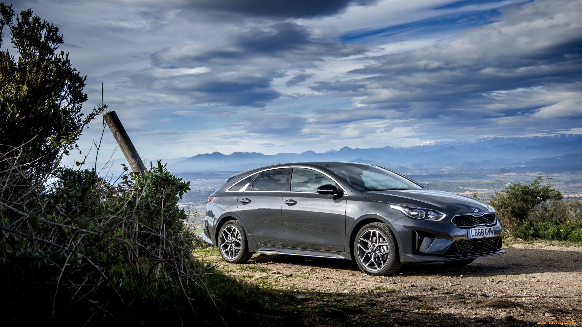 автомобили, kia