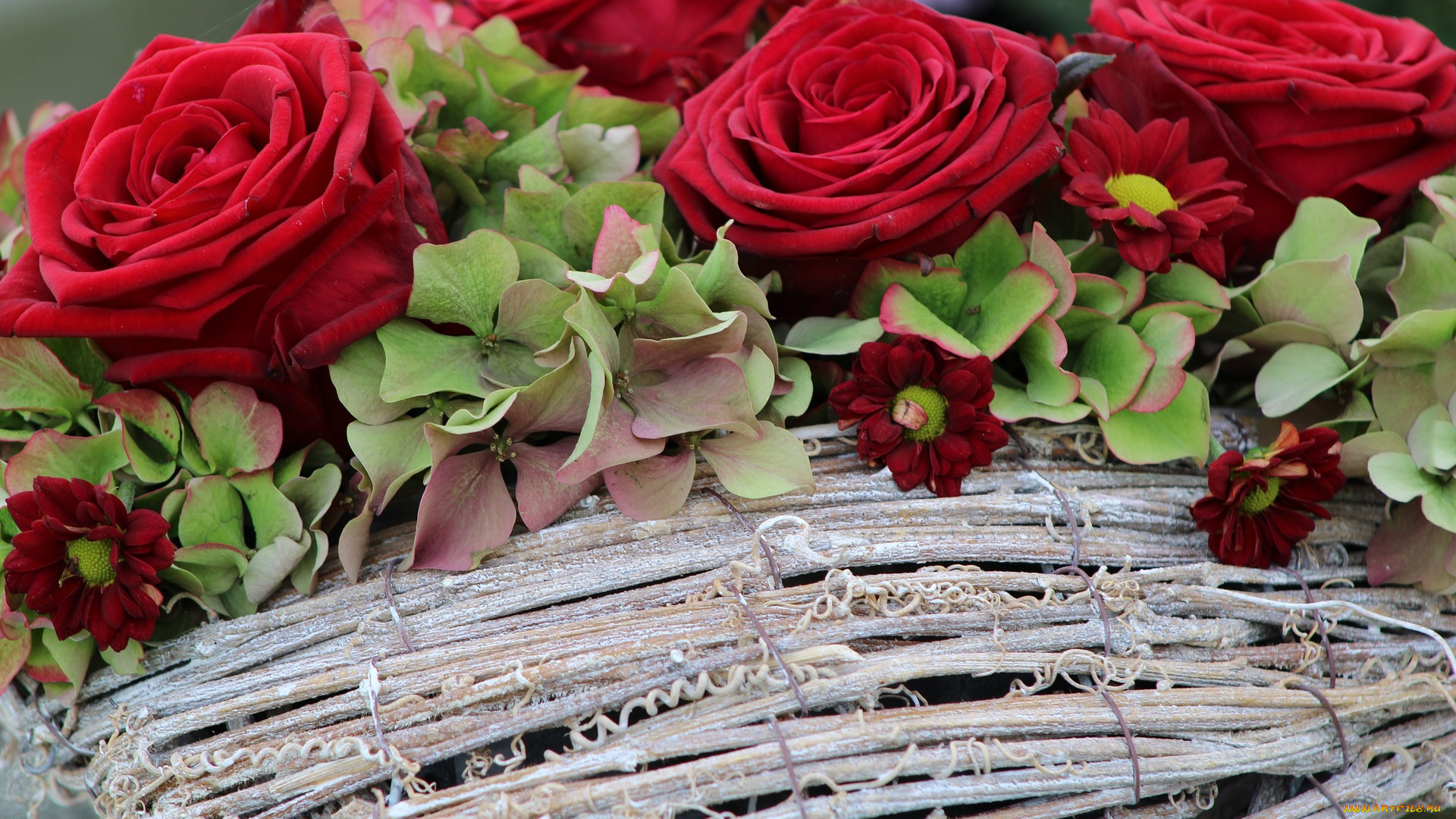 цветы, букеты, , композиции, розы, гортензия, хризантемы