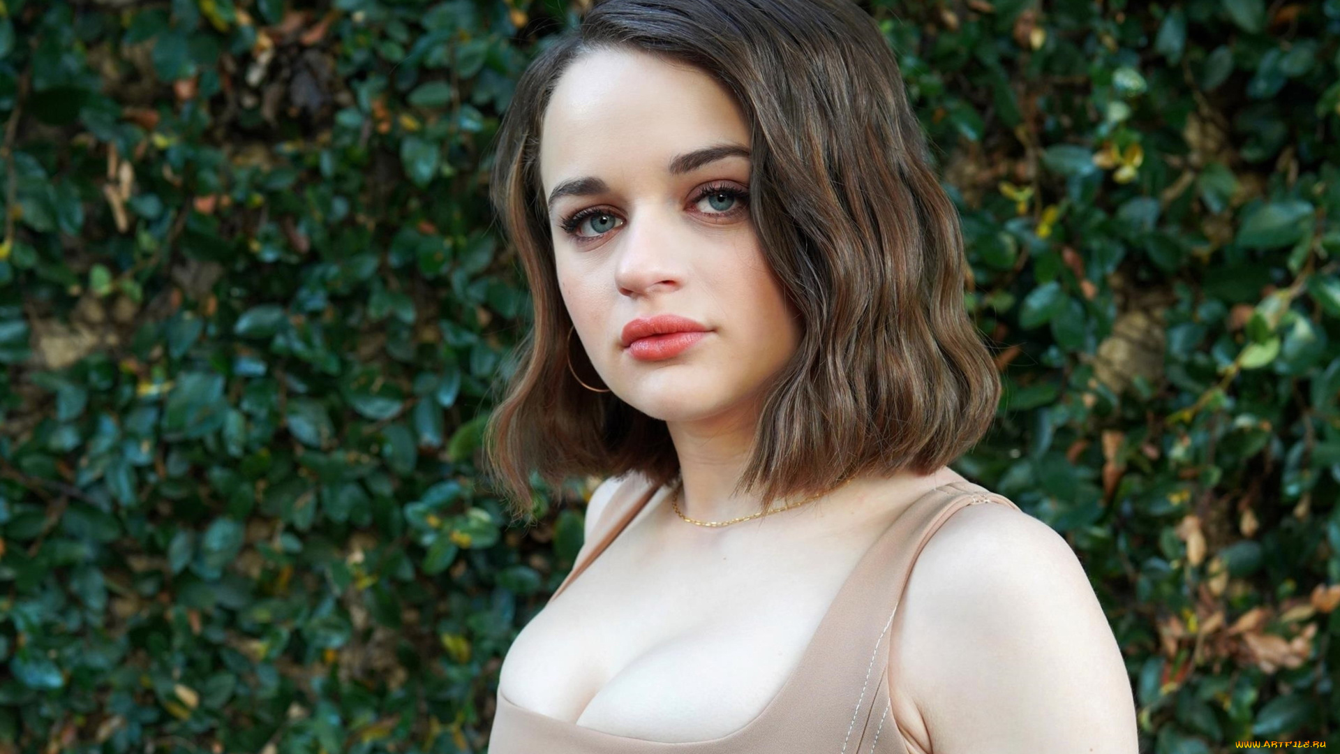 девушки, joey, king, шатенка, лицо, декольте