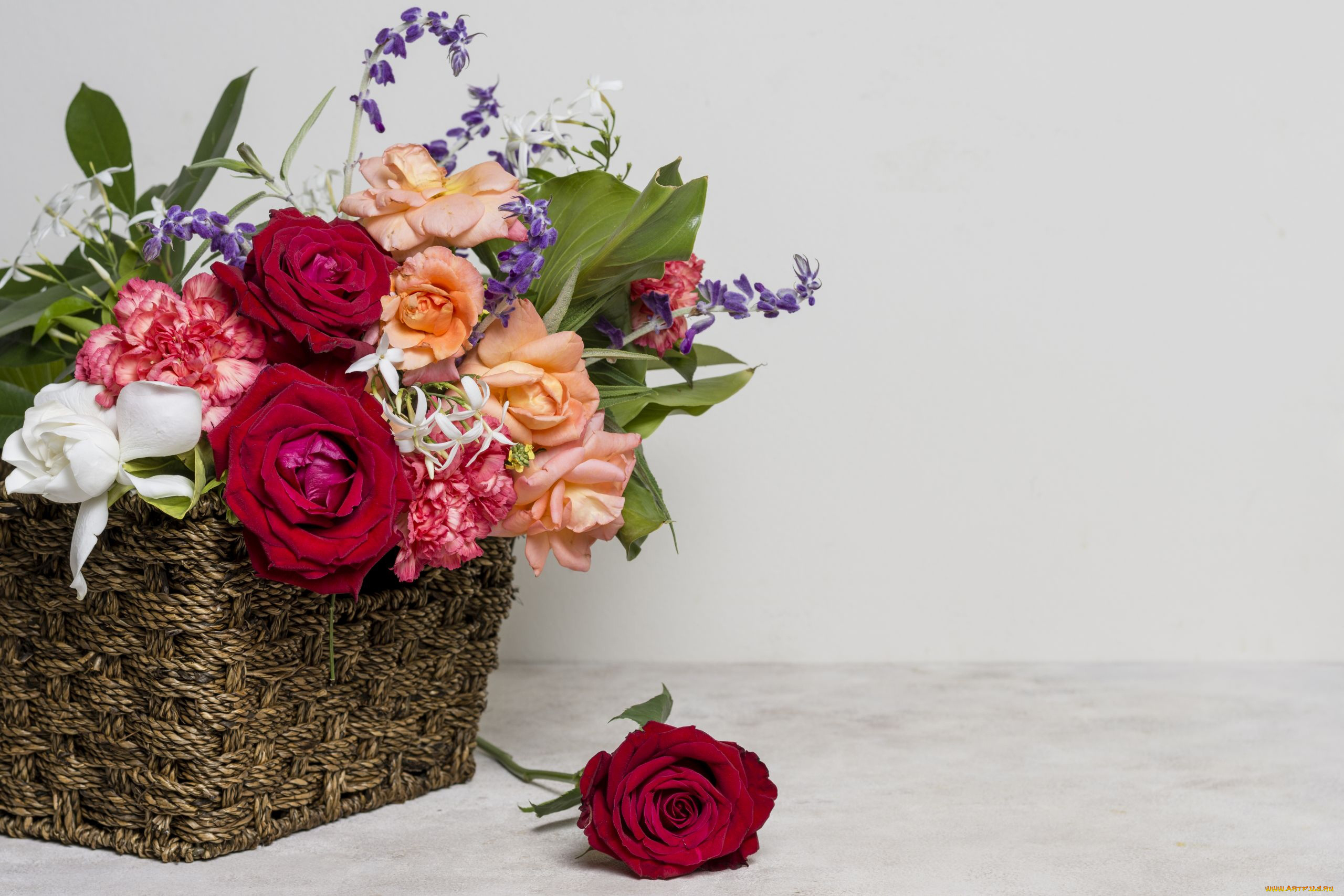 цветы, букеты, , композиции, розы, гвоздика