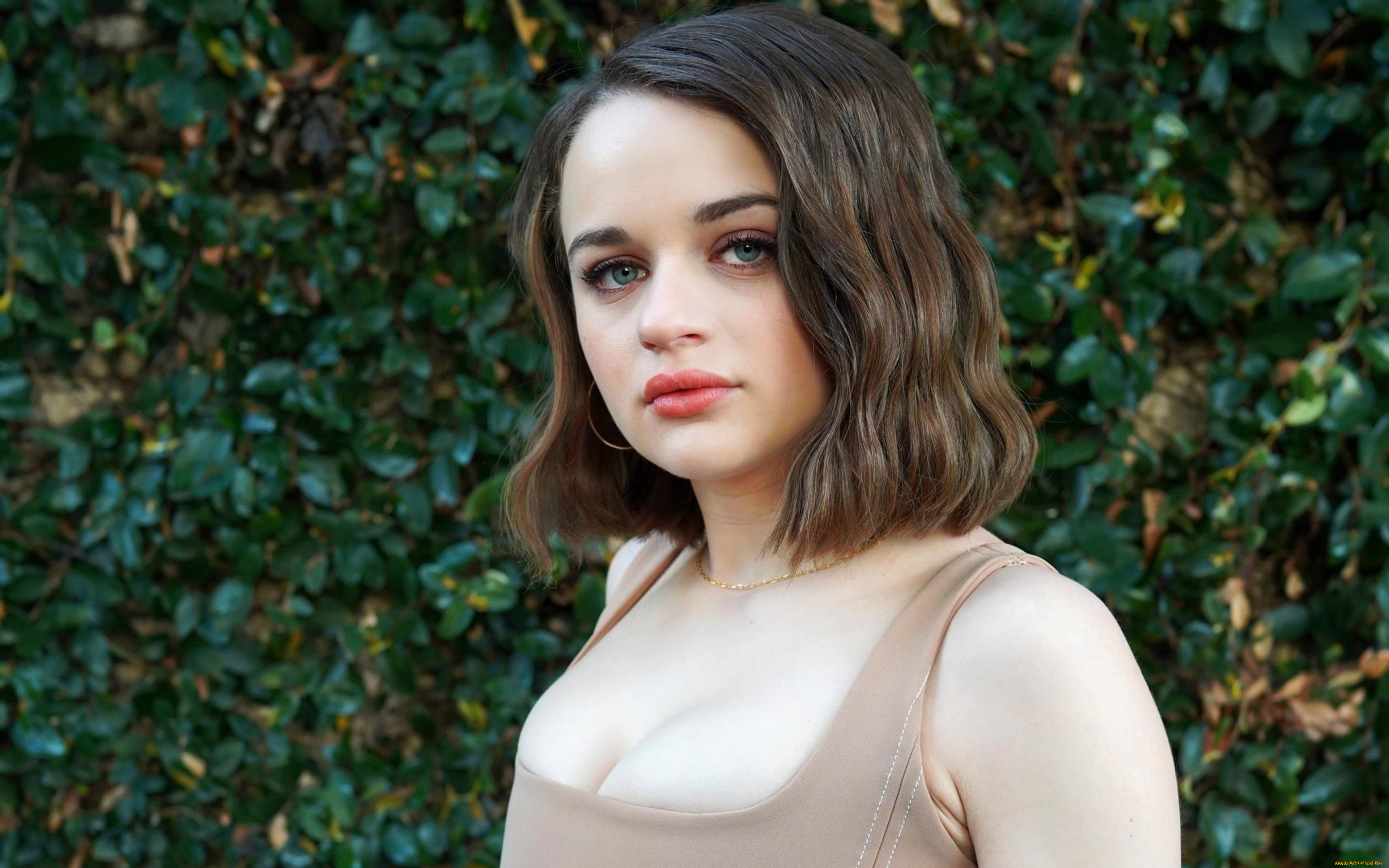 девушки, joey, king, шатенка, лицо, декольте