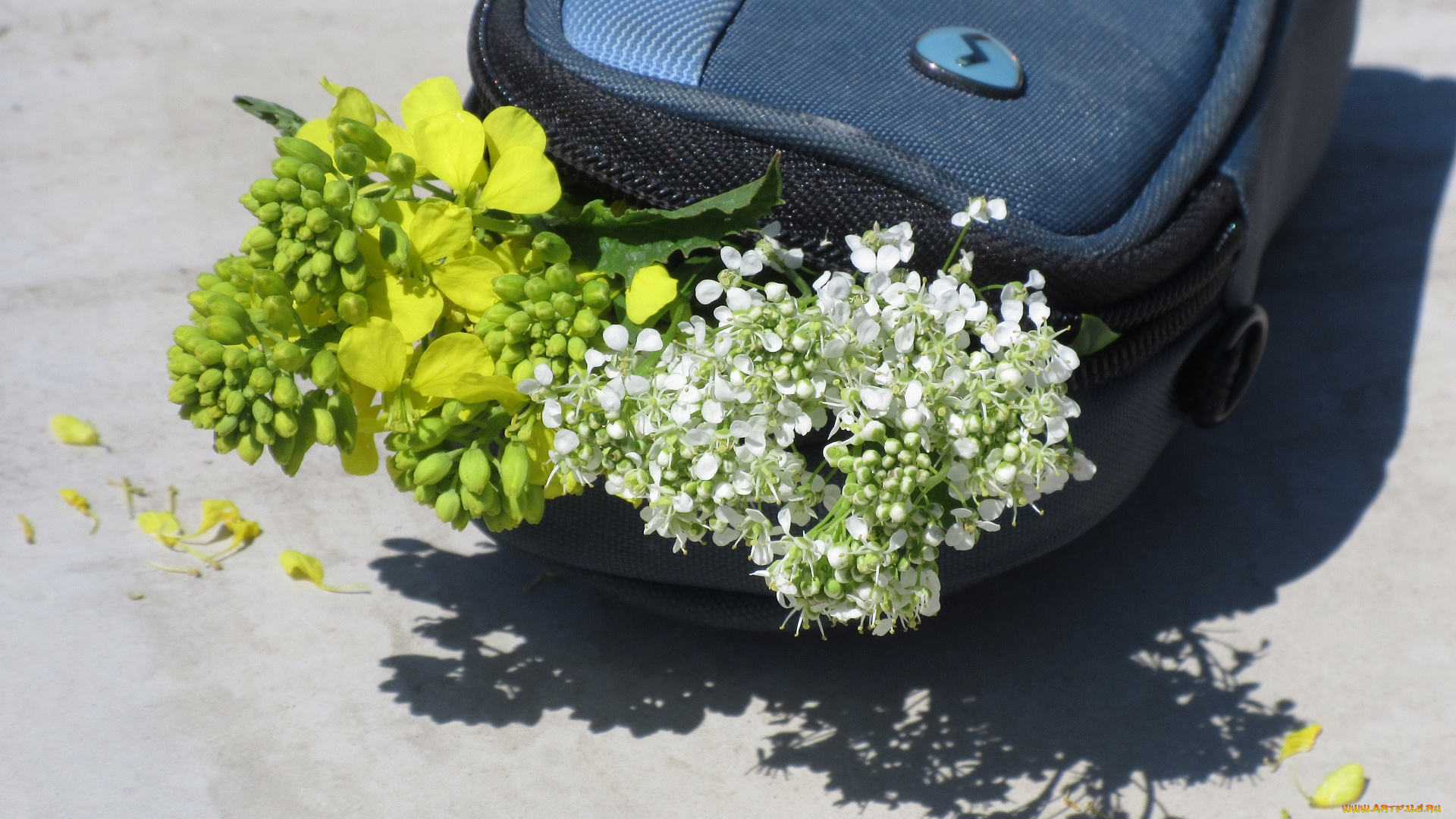 цветы, разные, вместе, букетик