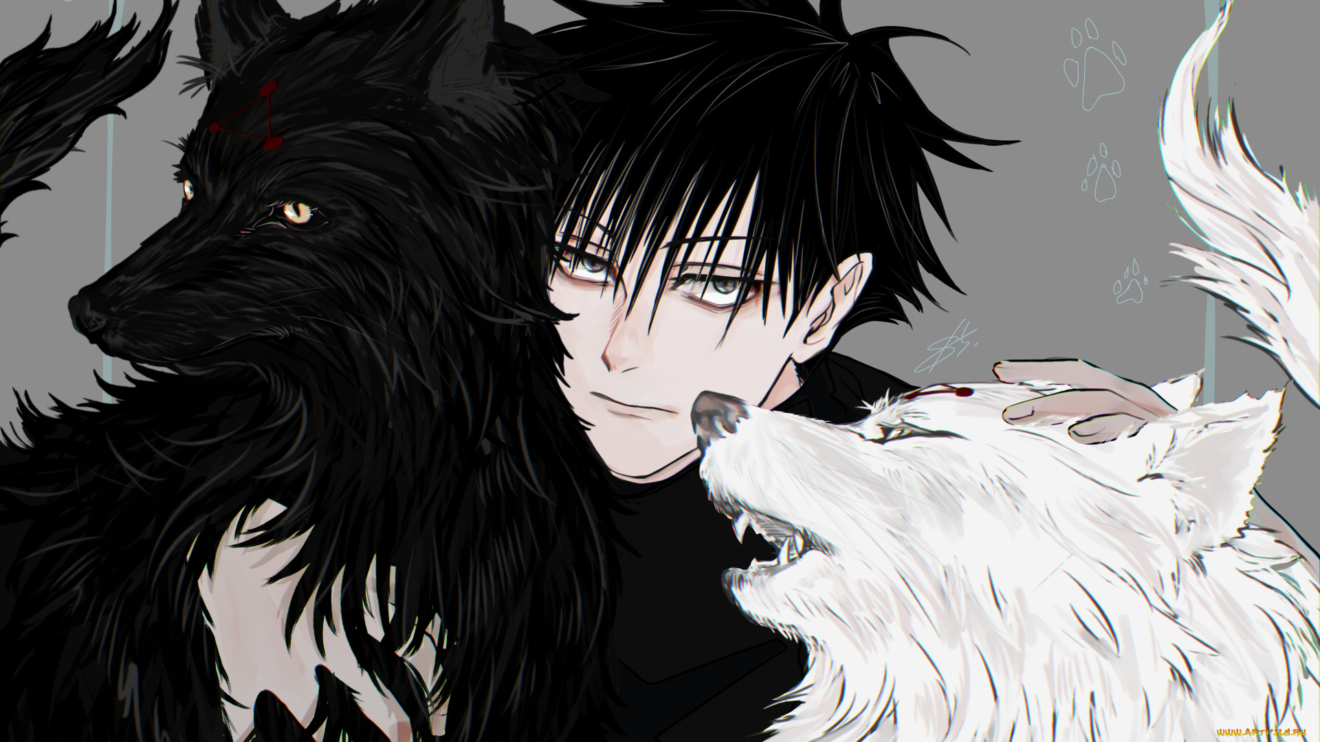 магическая, битва, аниме, jujutsu, kaisen, магическая, битва, парень, взгляд, волки, собаки, megumi, fushiguro