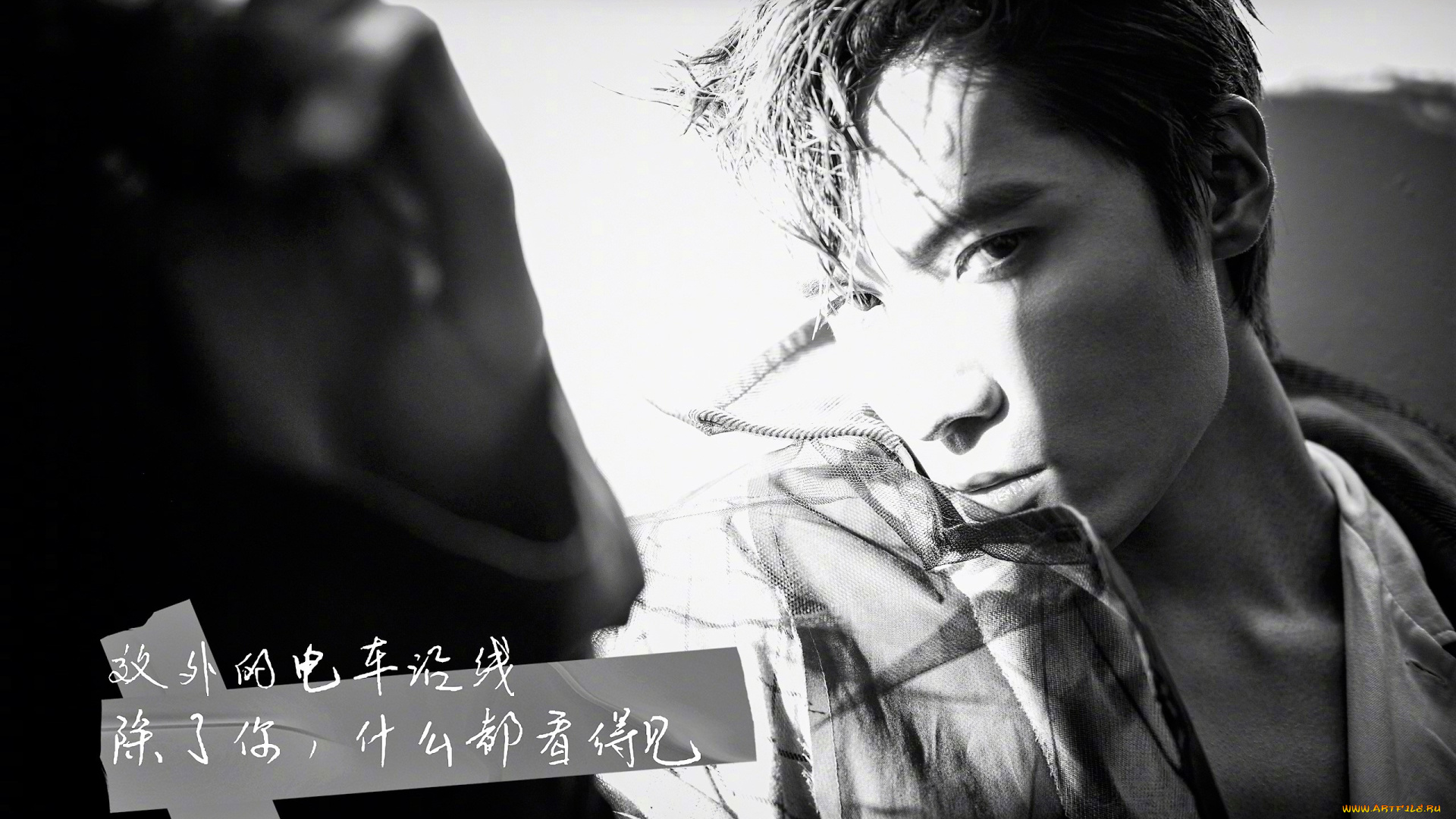 мужчины, liu, haikuan, актер, лицо, куртка