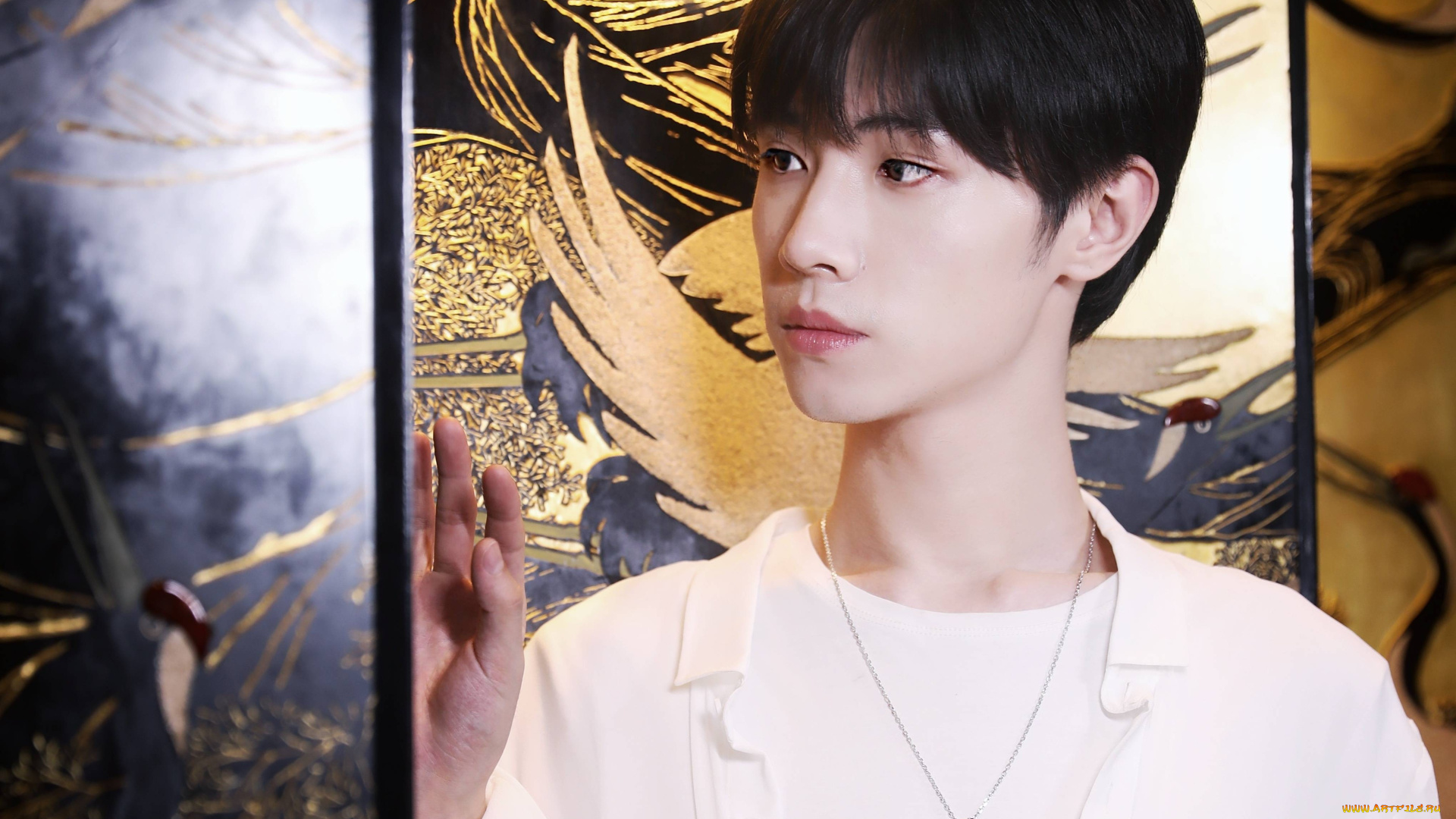 мужчины, song, ji, yang, сун, цзиян, китайский, актёр, певец