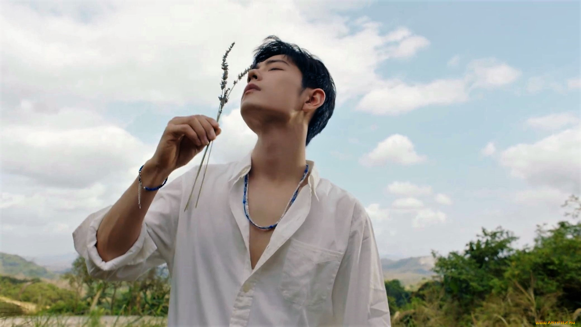 мужчины, xiao, zhan, сяо, чжань, рубашка, травинка