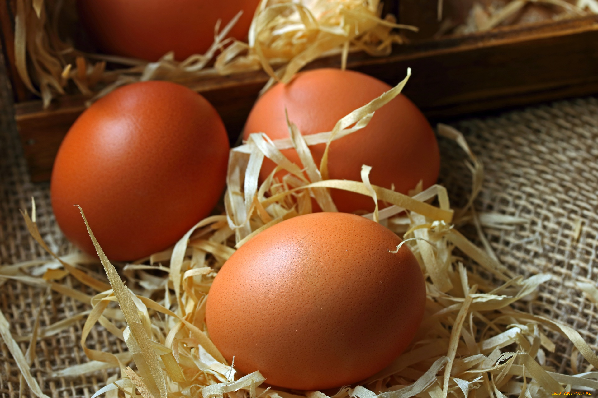 еда, яйца, солома, свежие