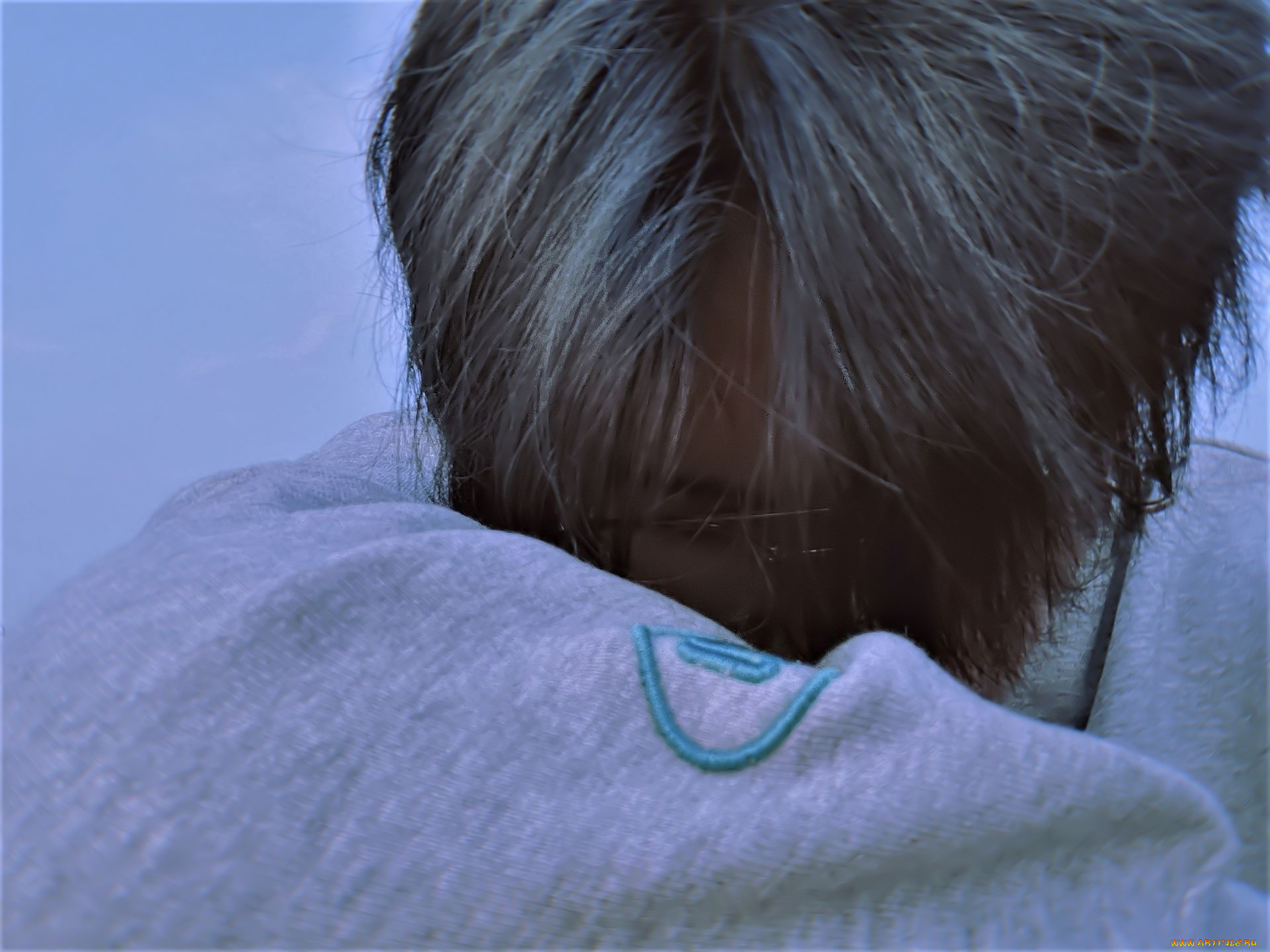 мужчины, liu, haikuan, актер, лицо, очки, свитер