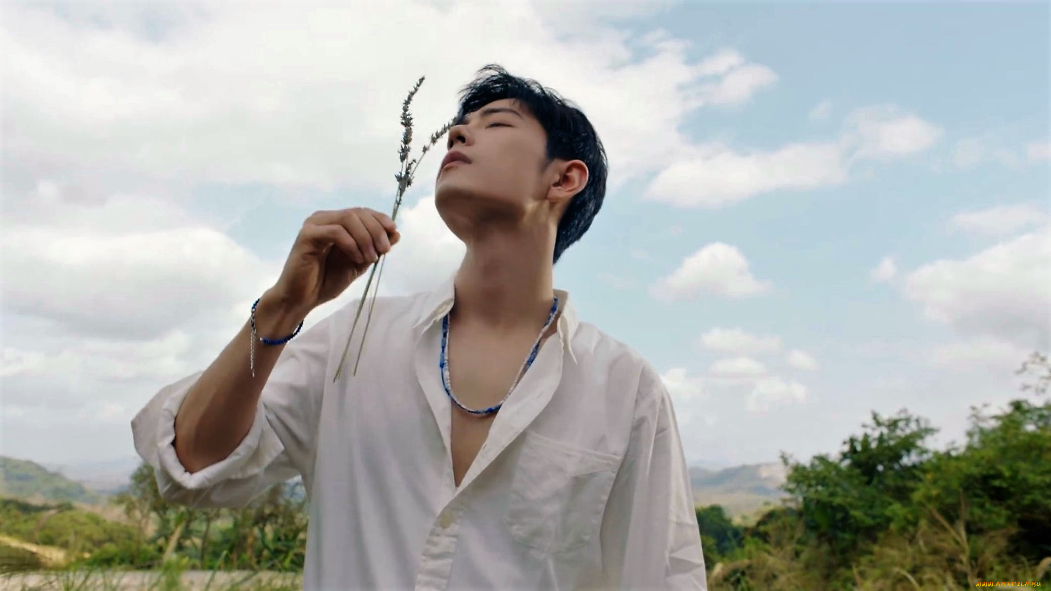 мужчины, xiao, zhan, сяо, чжань, рубашка, травинка