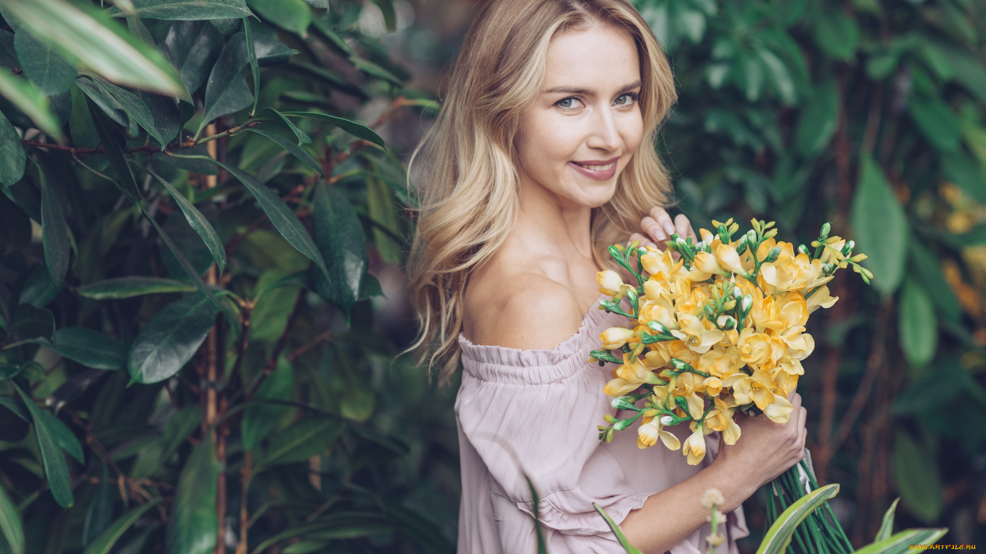 девушки, -, блондинки, , светловолосые, девушка, цветы