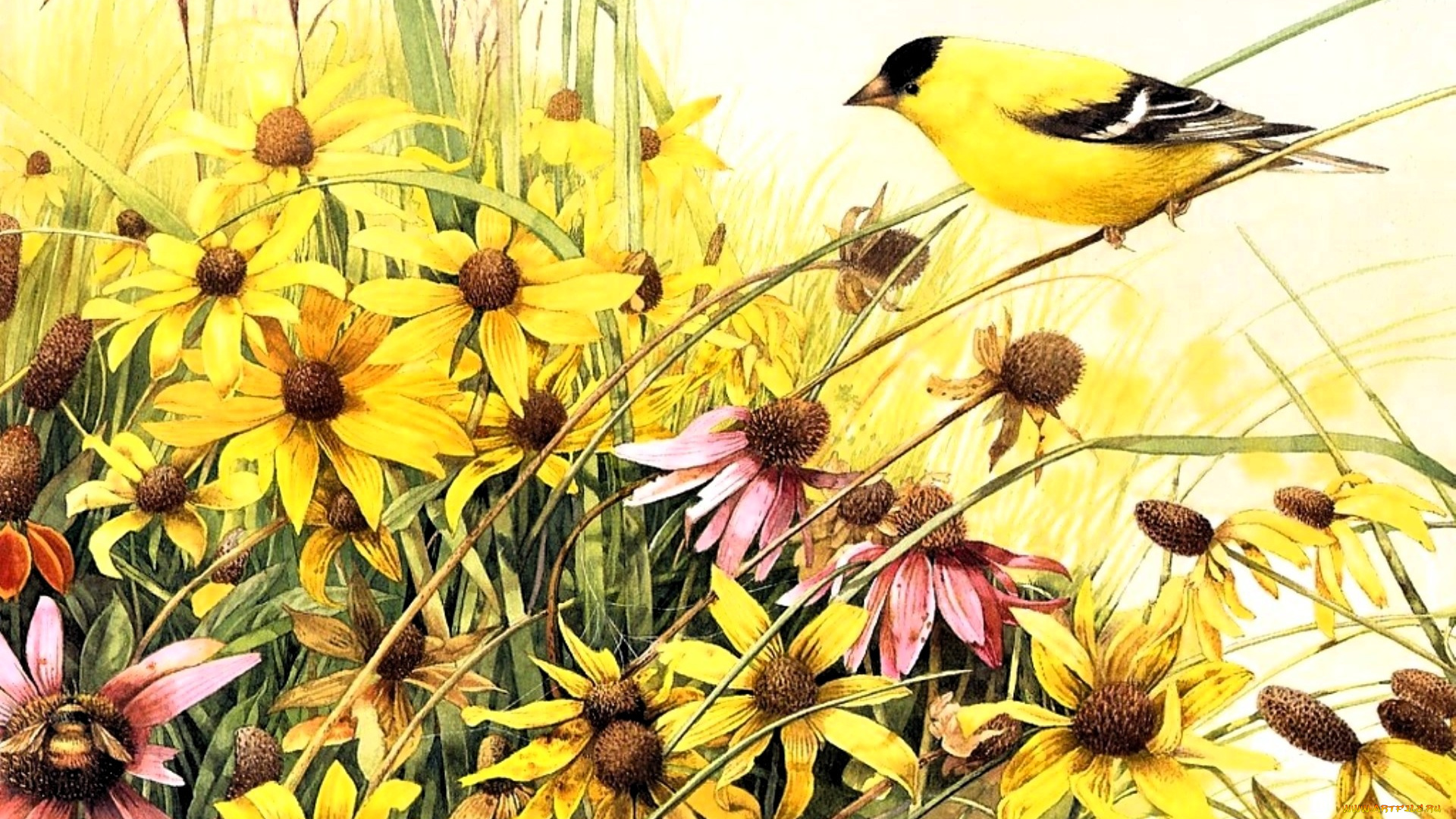 рисованное, животные, , птицы, птица, цветы