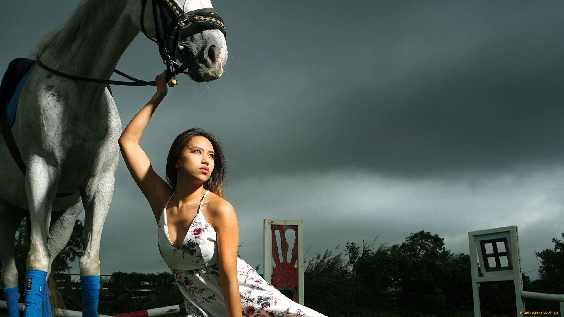 девушки, -, азиатки, лошадь, брюнетка, платье, лужайка