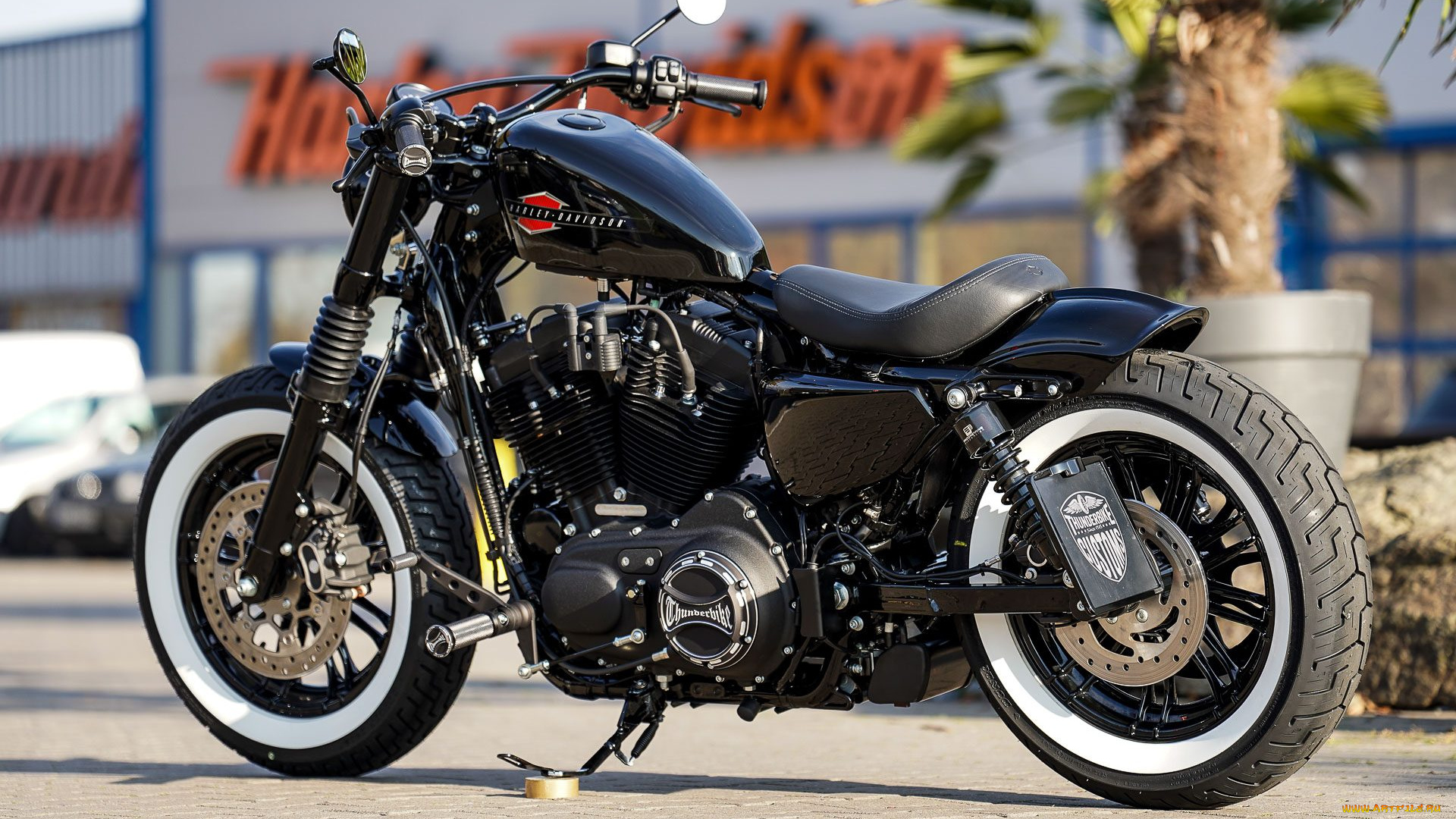 харлей, мотоциклы, harley-davidson, мотоцикл, байк, thunderbike, customs