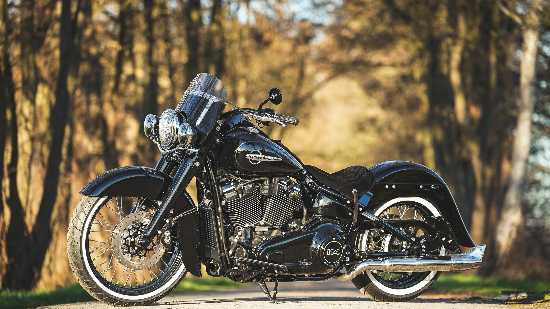 харлей, мотоциклы, harley-davidson, мотоцикл, байк, thunderbike, customs