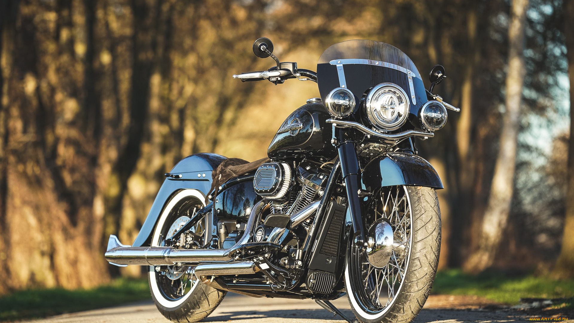 харлей, мотоциклы, harley-davidson, мотоцикл, байк, thunderbike, customs