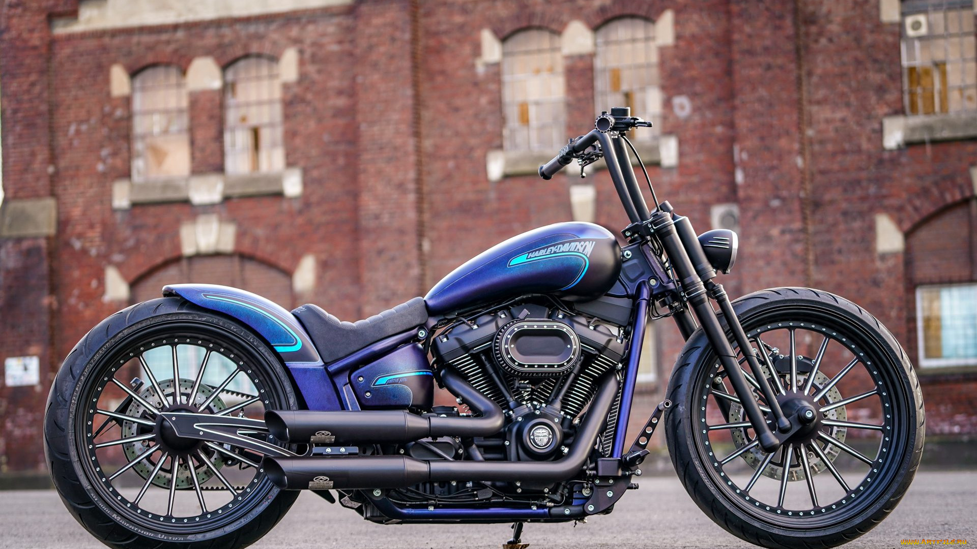 харлей, мотоциклы, harley-davidson, мотоцикл, байк, thunderbike, customs