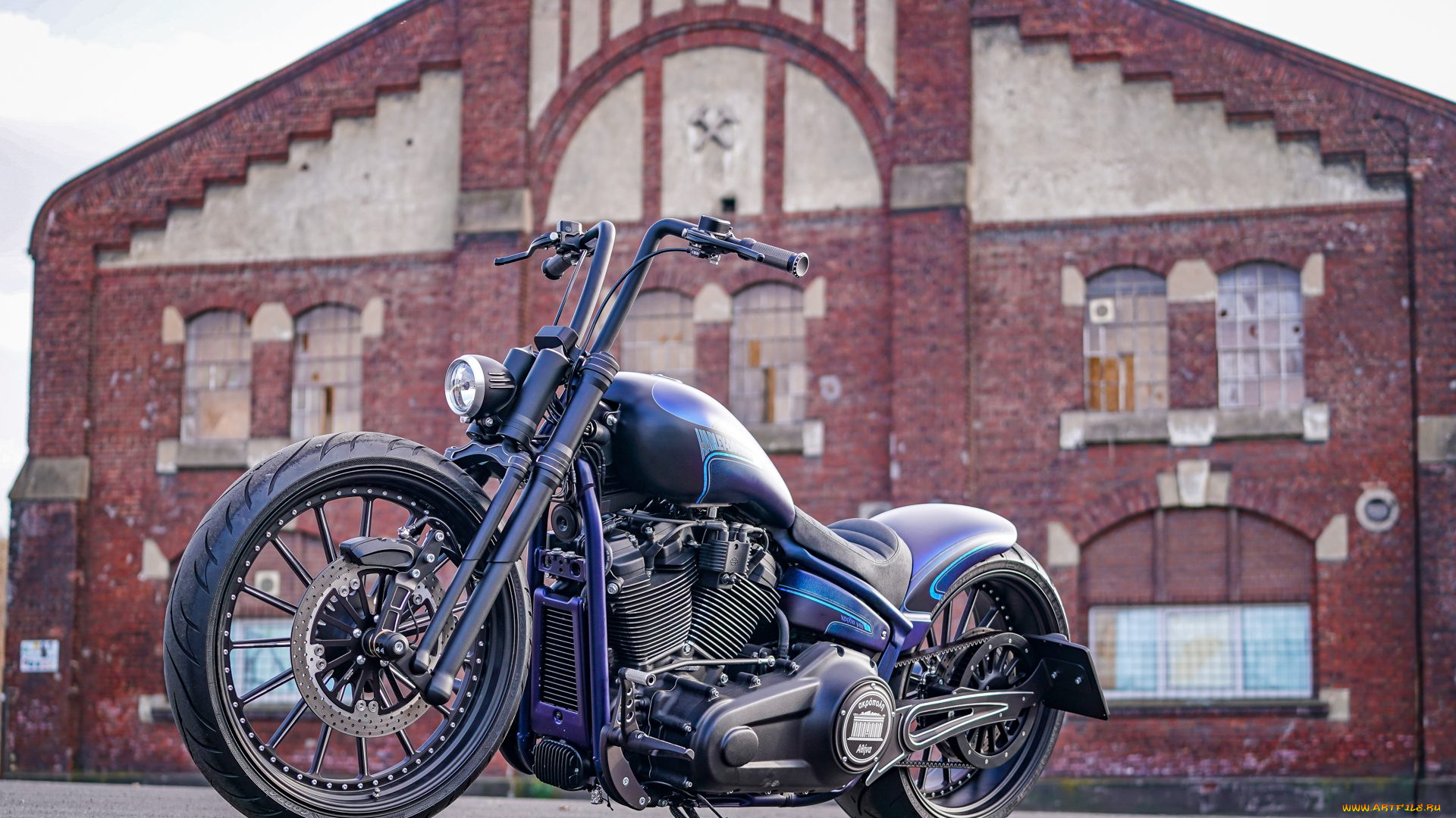 харлей, мотоциклы, harley-davidson, мотоцикл, байк, thunderbike, customs