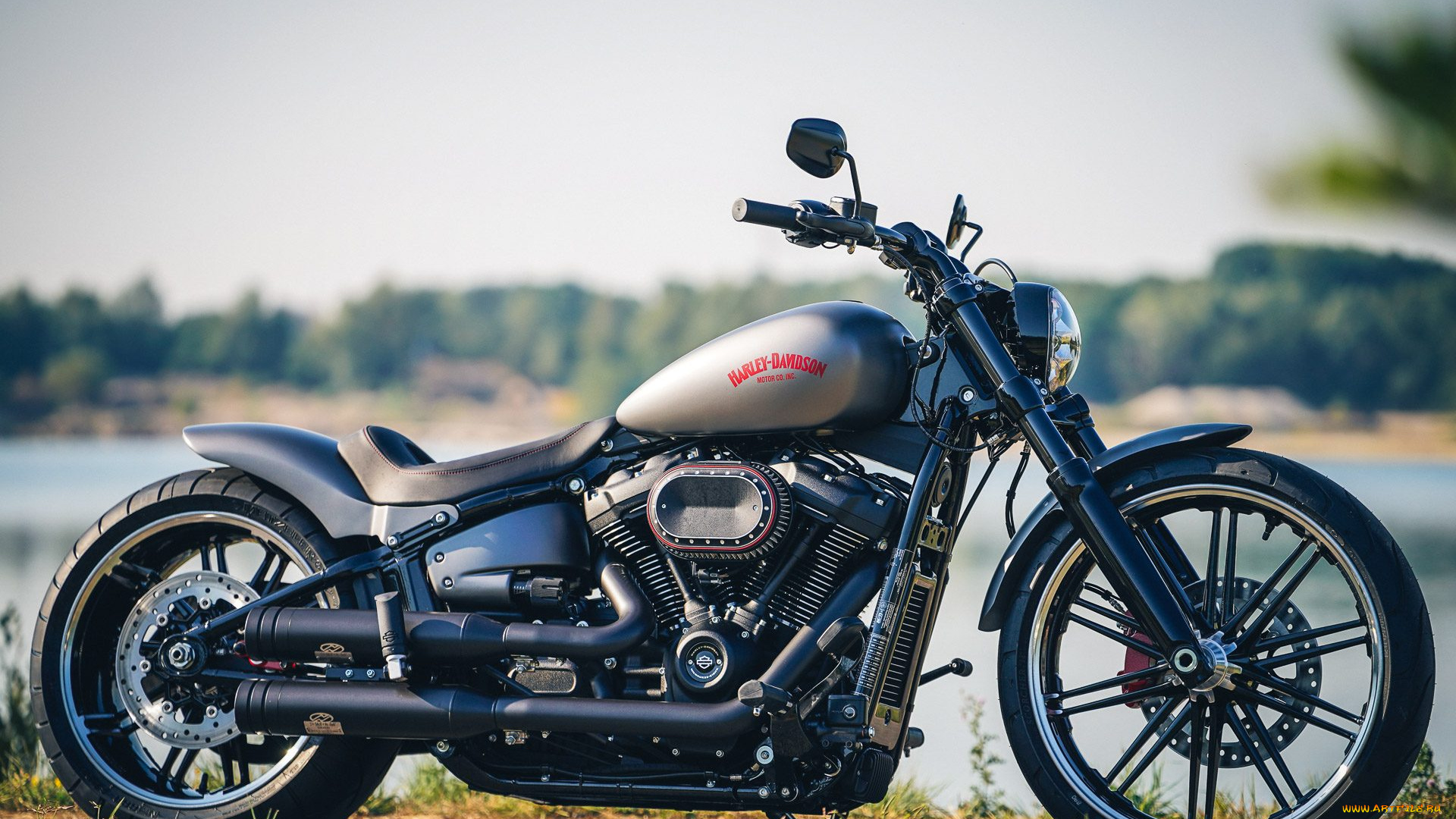 харлей, мотоциклы, harley-davidson, мотоцикл, байк, серый, thunderbike, customs