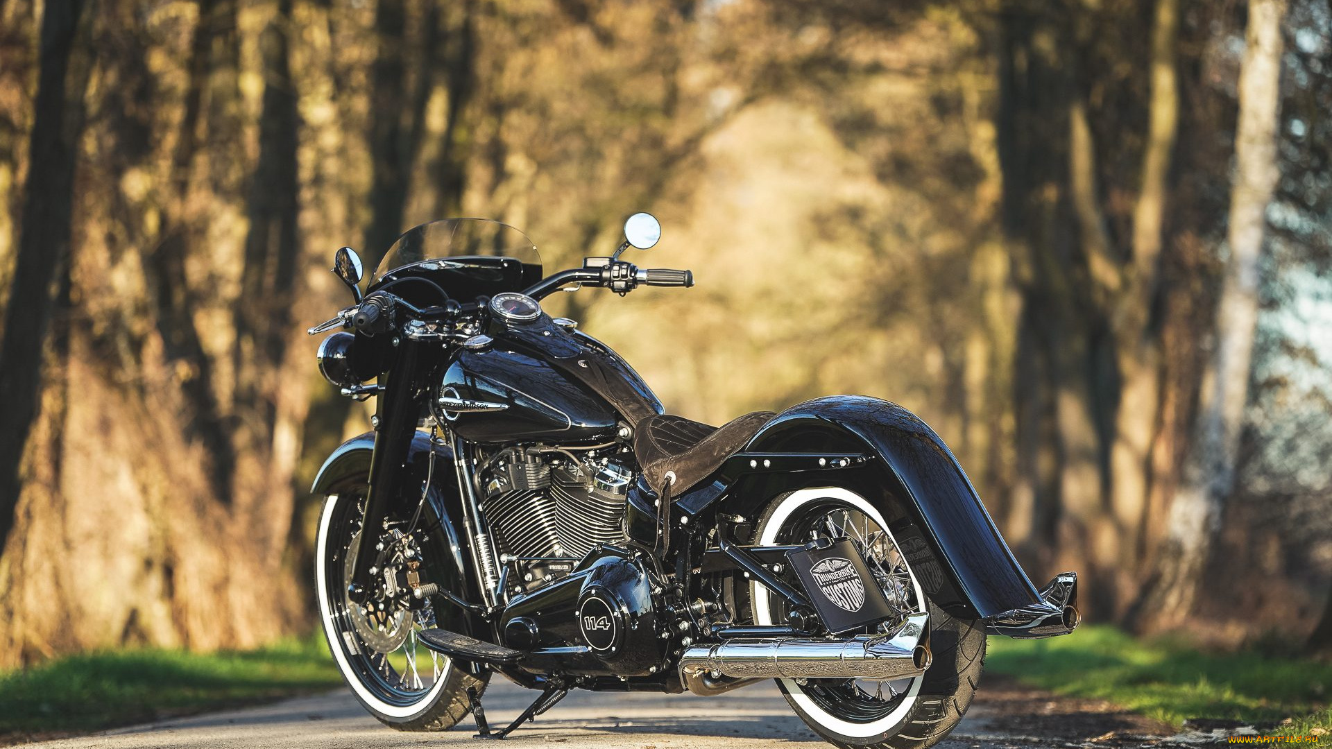 harley, мотоциклы, harley-davidson, thunderbike, customs, мотоцикл, байк, чёрный