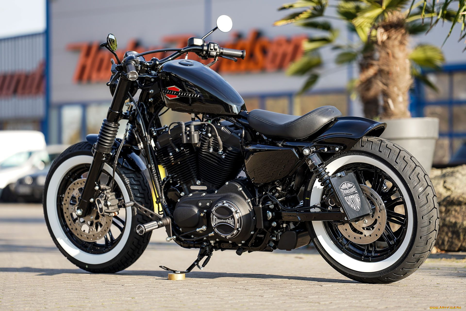 харлей, мотоциклы, harley-davidson, мотоцикл, байк, thunderbike, customs