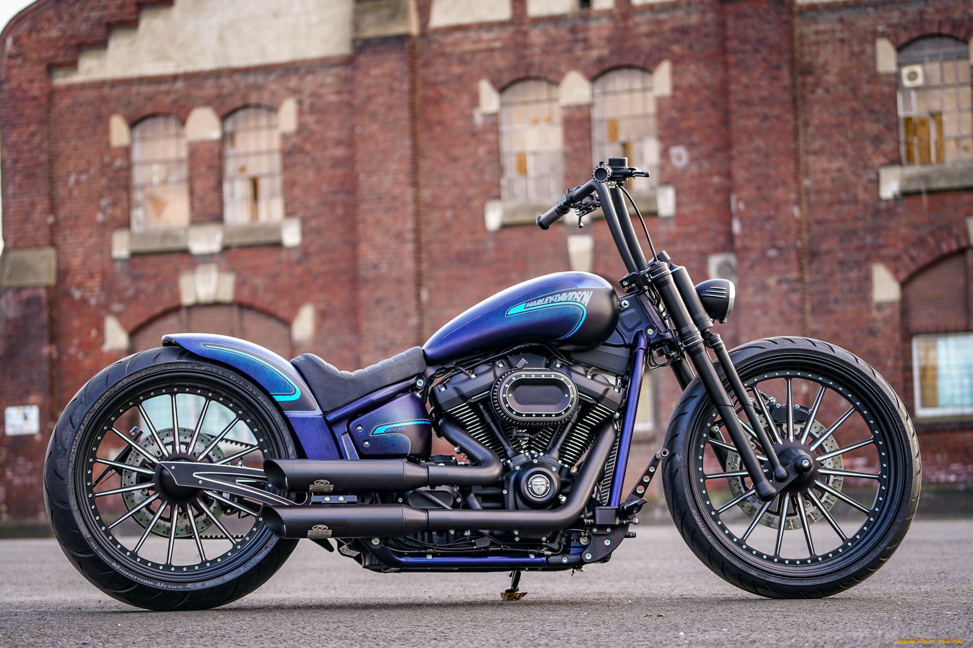 харлей, мотоциклы, harley-davidson, мотоцикл, байк, thunderbike, customs