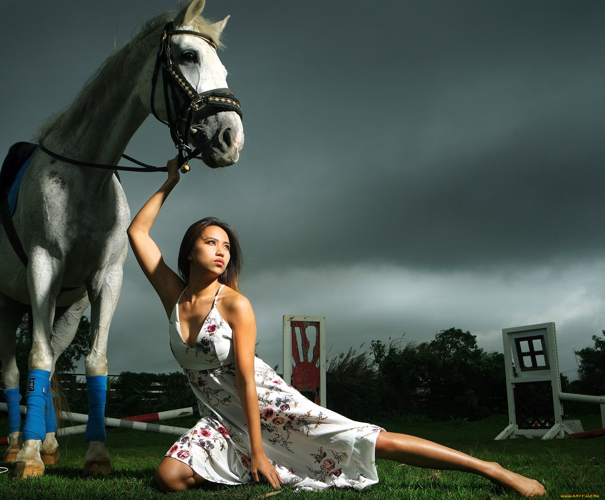 девушки, -, азиатки, лошадь, брюнетка, платье, лужайка
