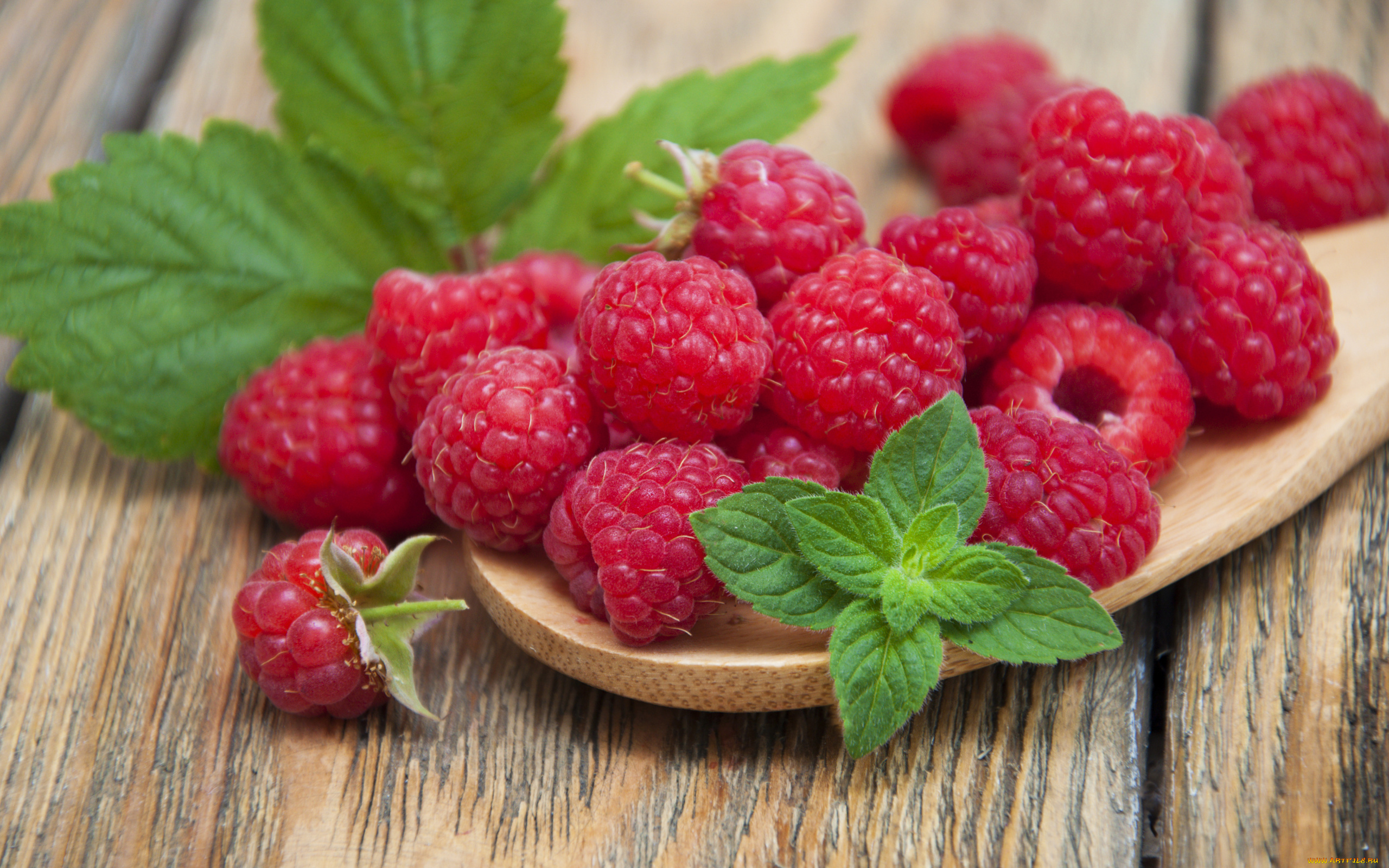 еда, малина, мята, спелая, ягоды