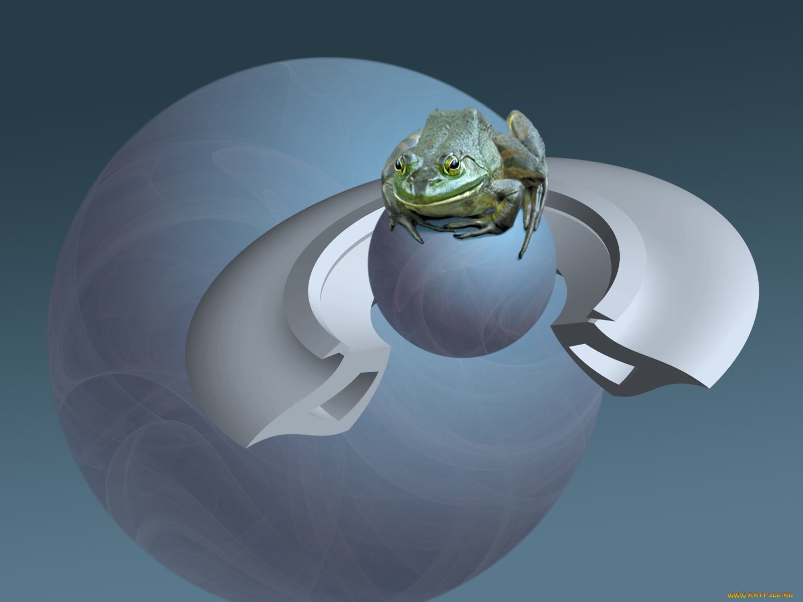 3д, графика, animals, животные, лягушка