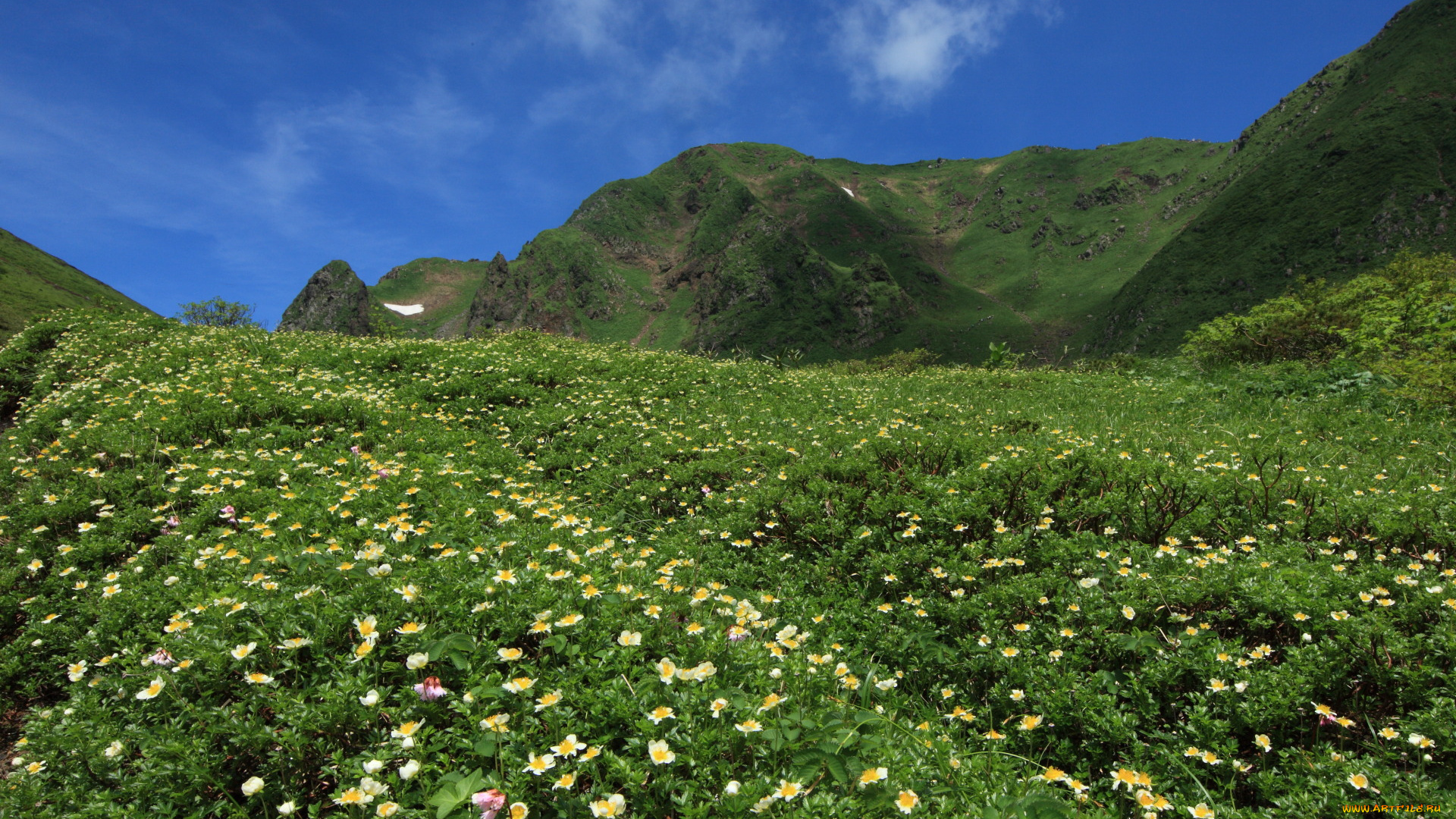 природа, горы, трава