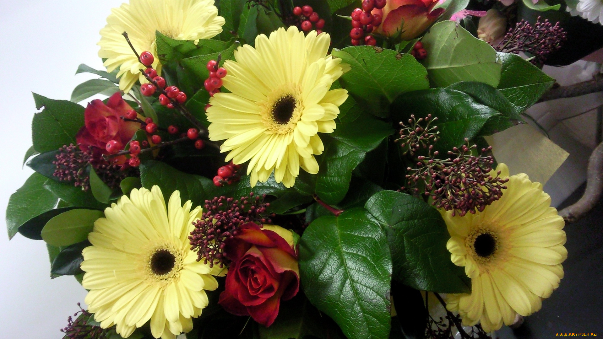 цветы, букеты, композиции, букет, герберы, розы