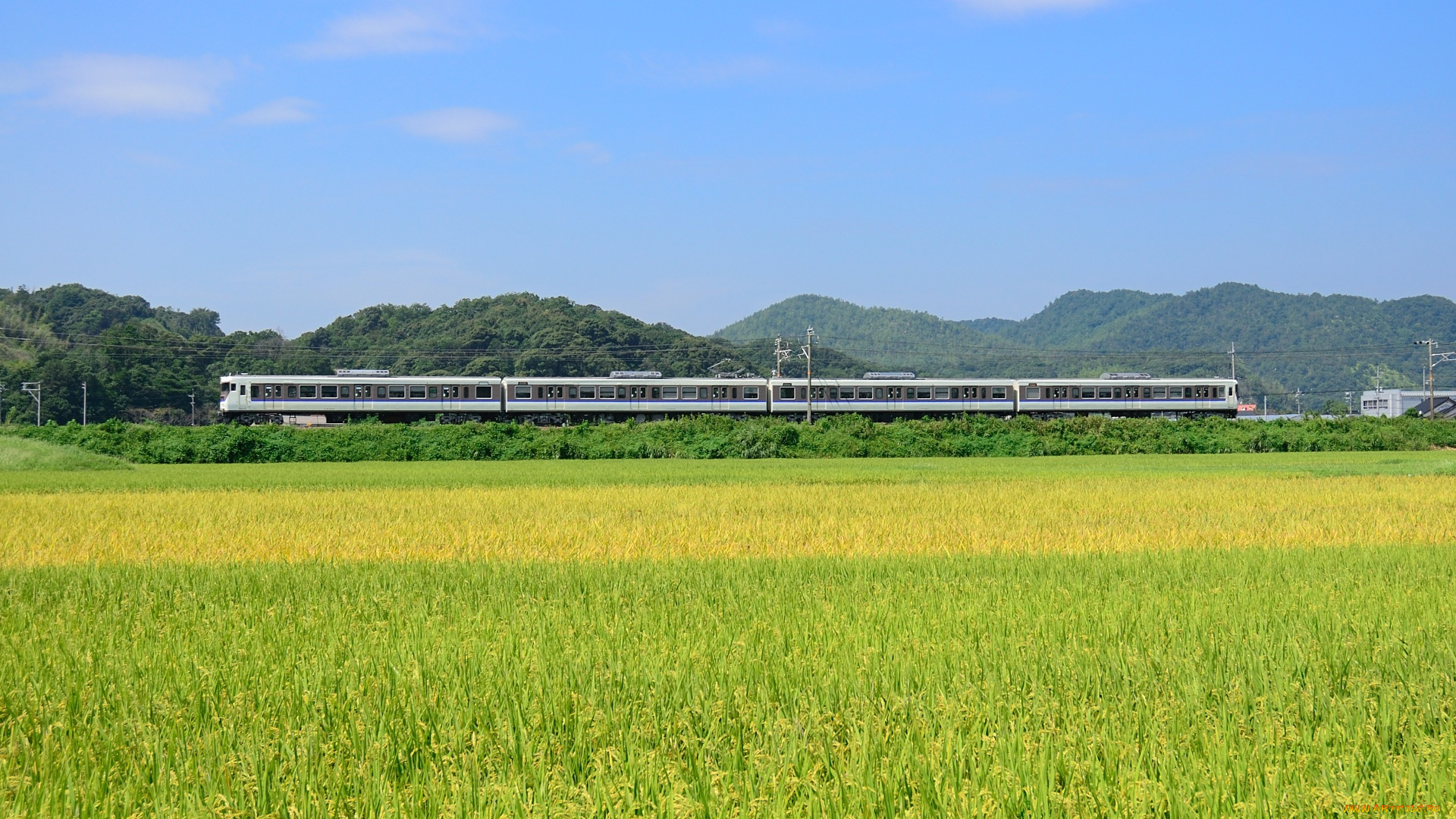 техника, поезда, горы, поле, лес, поезд