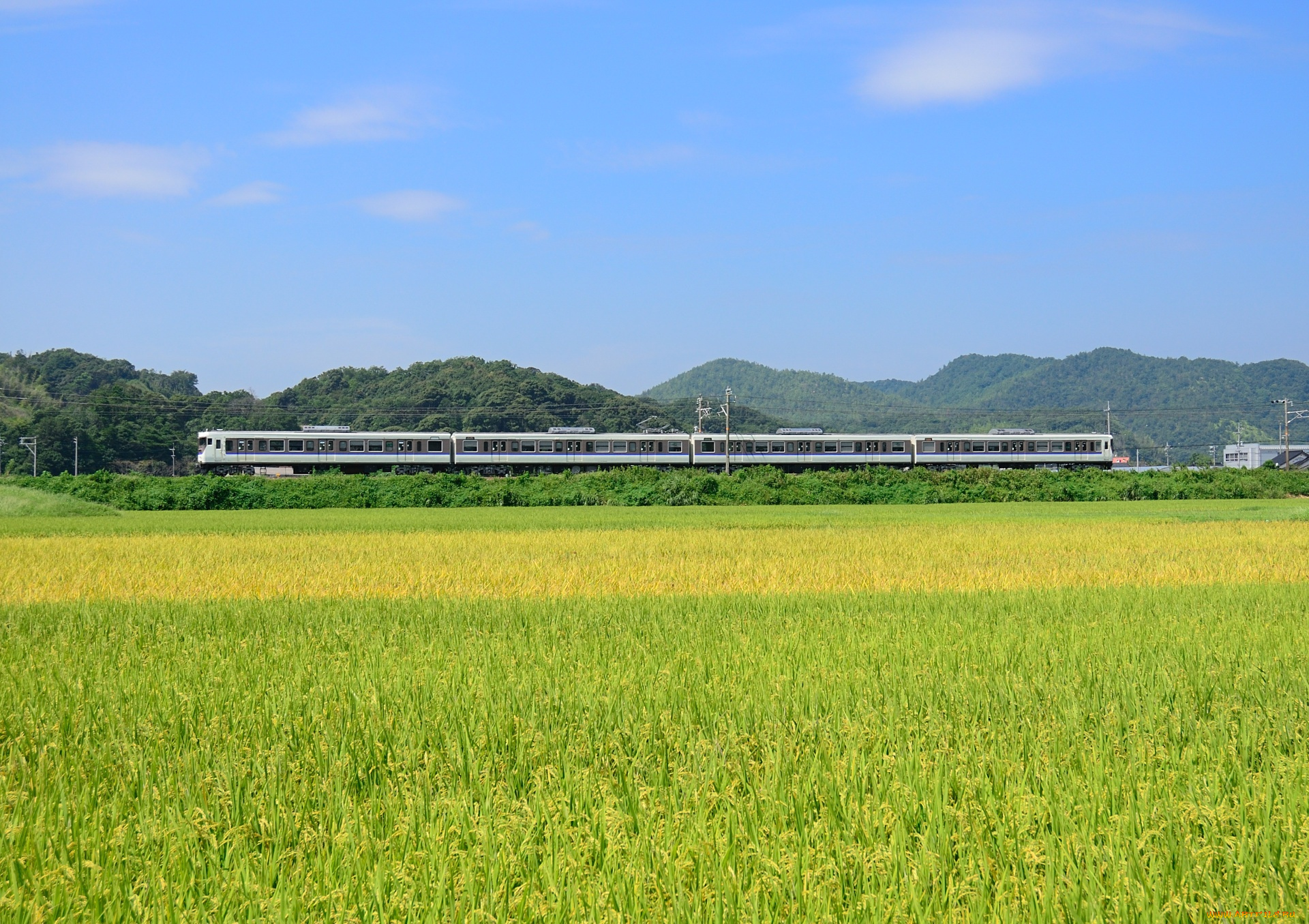 техника, поезда, горы, поле, лес, поезд