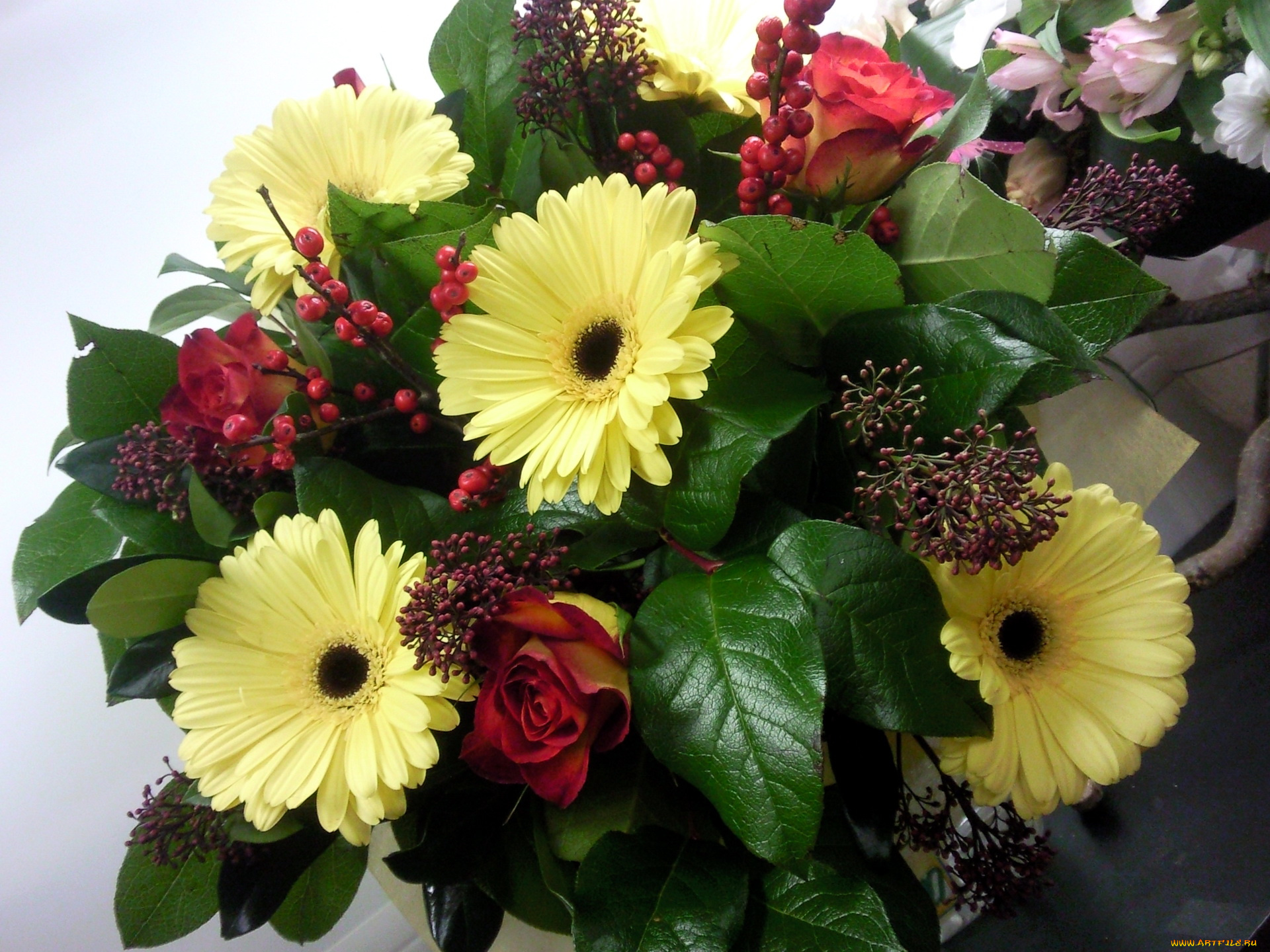 цветы, букеты, композиции, букет, герберы, розы
