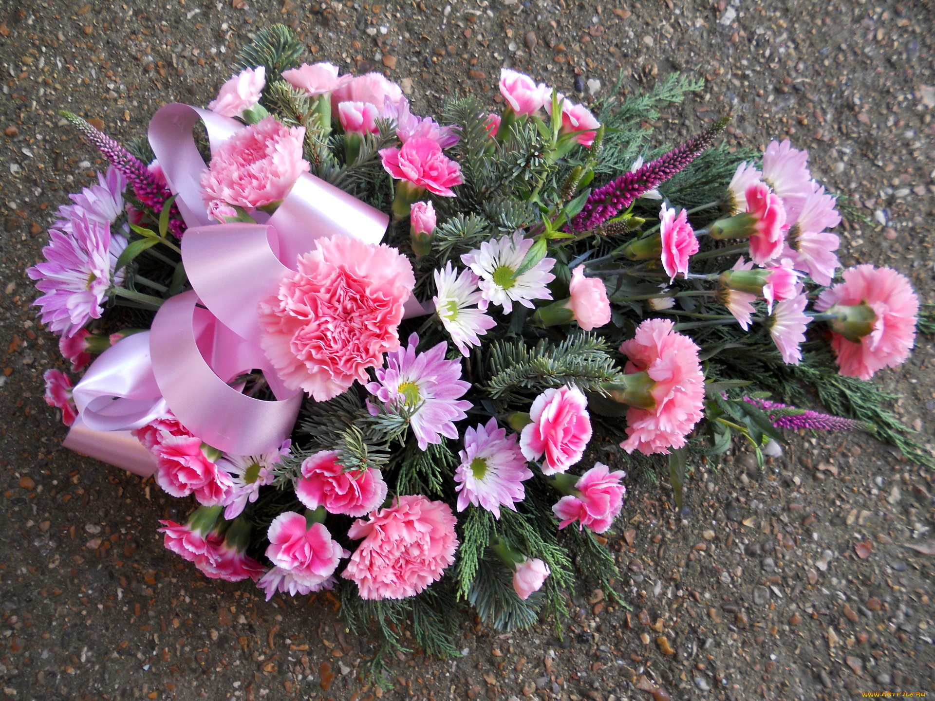 цветы, букеты, композиции, букет, гвоздики